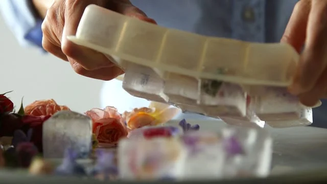 Cocktail Compilation*