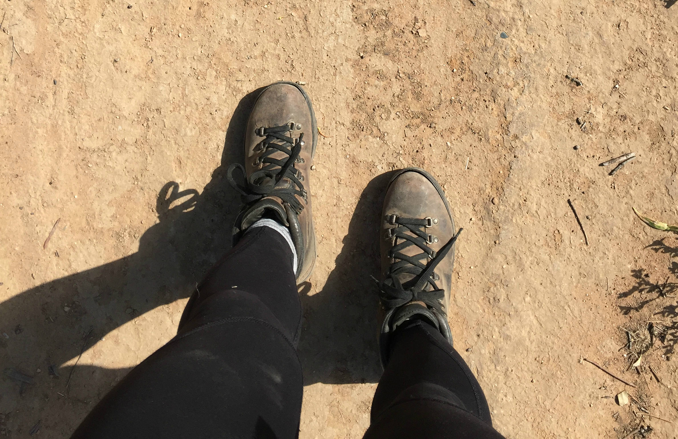shoes.png