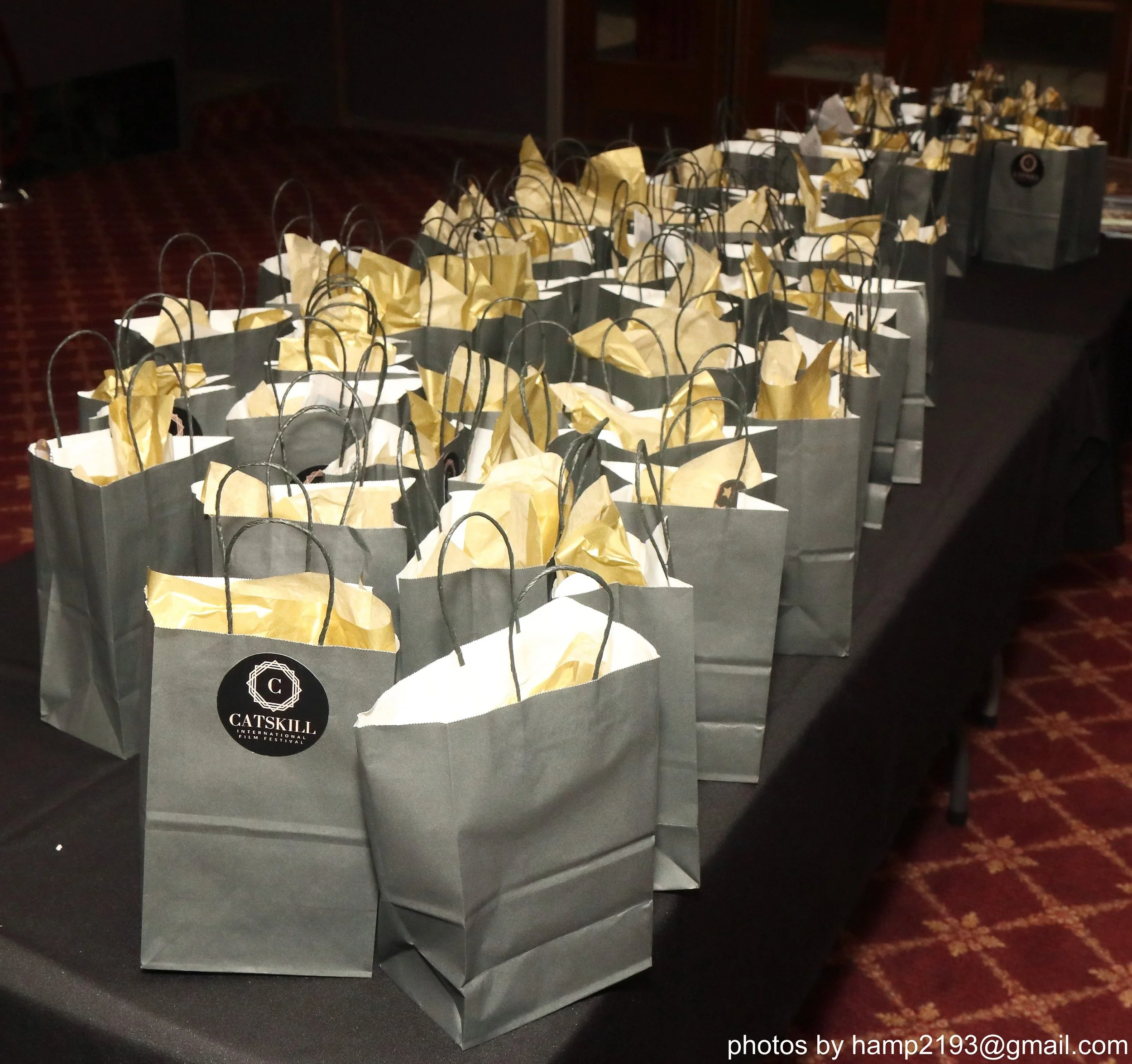 starCatskill Film Festival   206.jpg