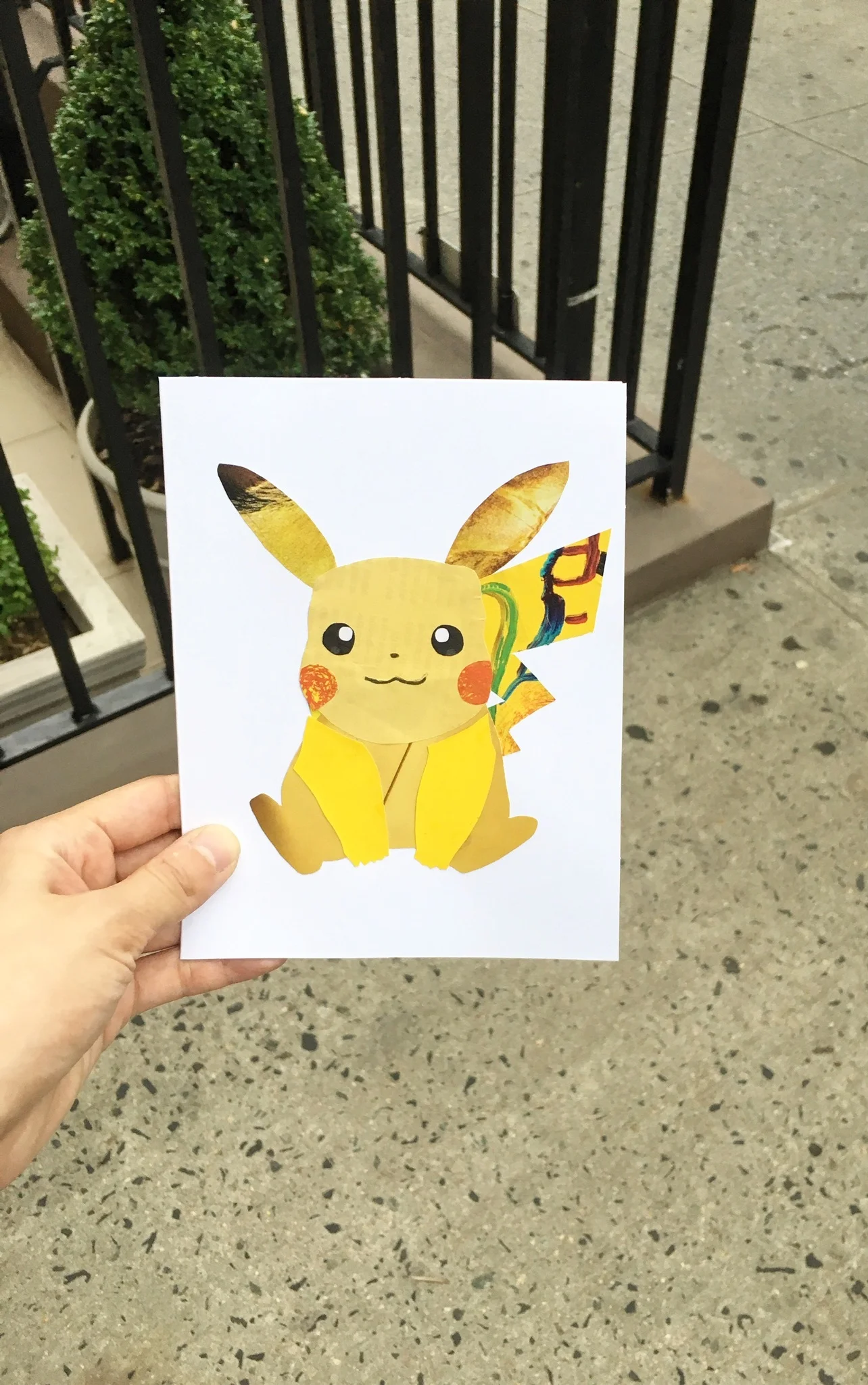 Pikachu in the Wild