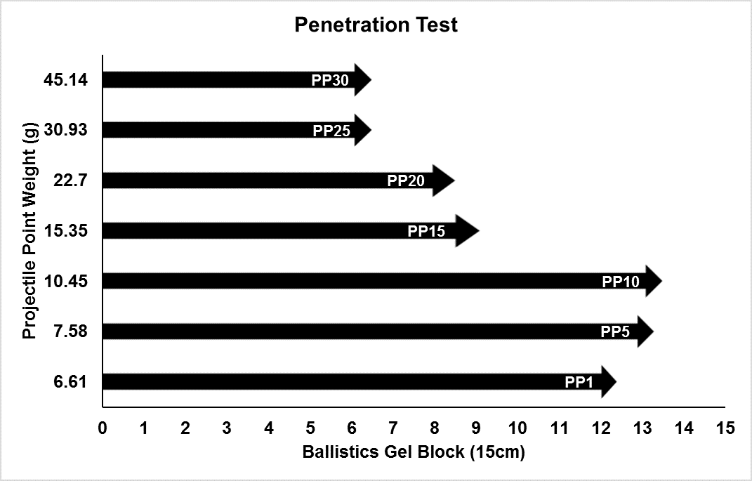 Penetration Test Updated.png
