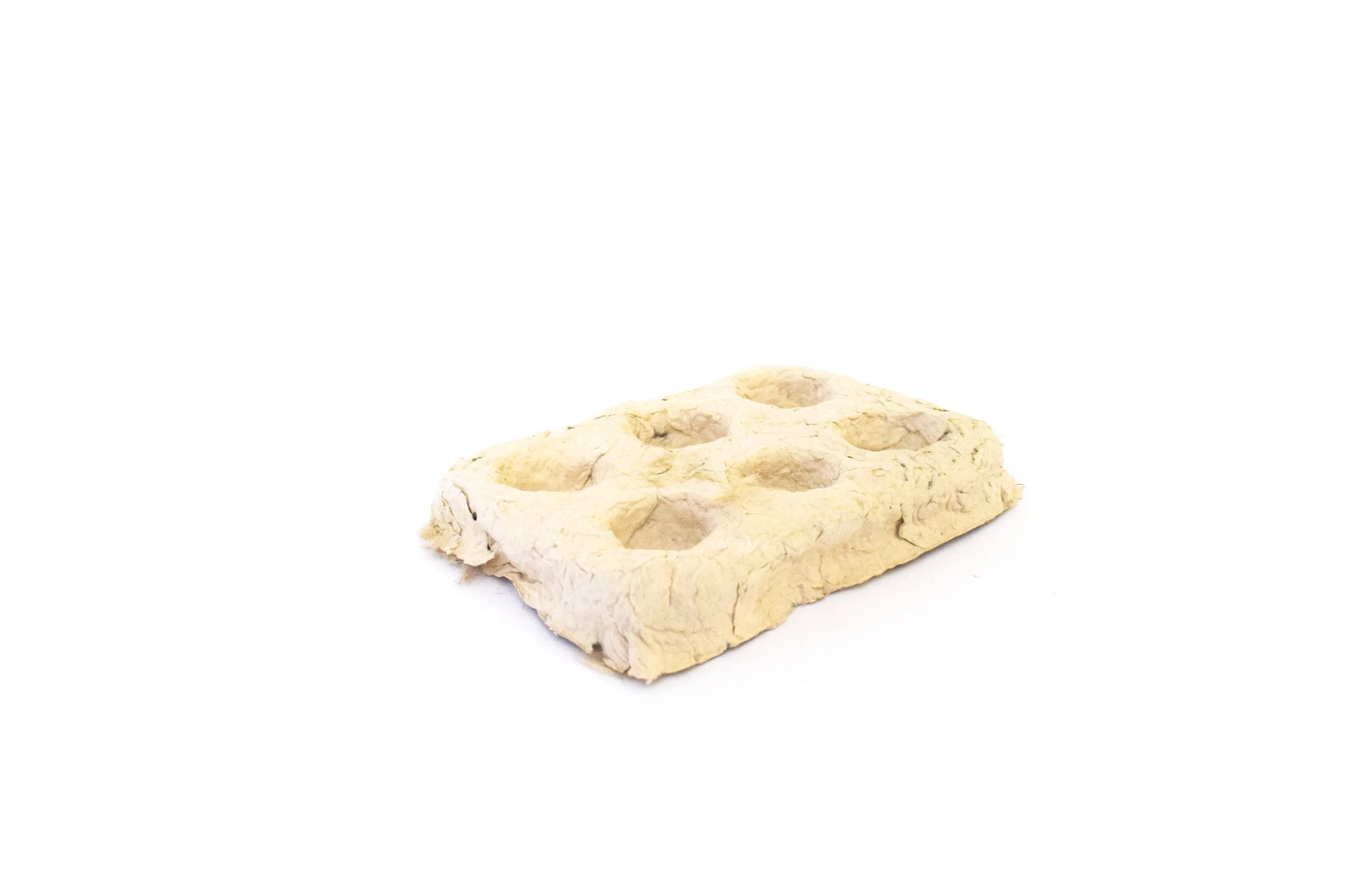 Kenaf 019 - processed pulp over raw pulp