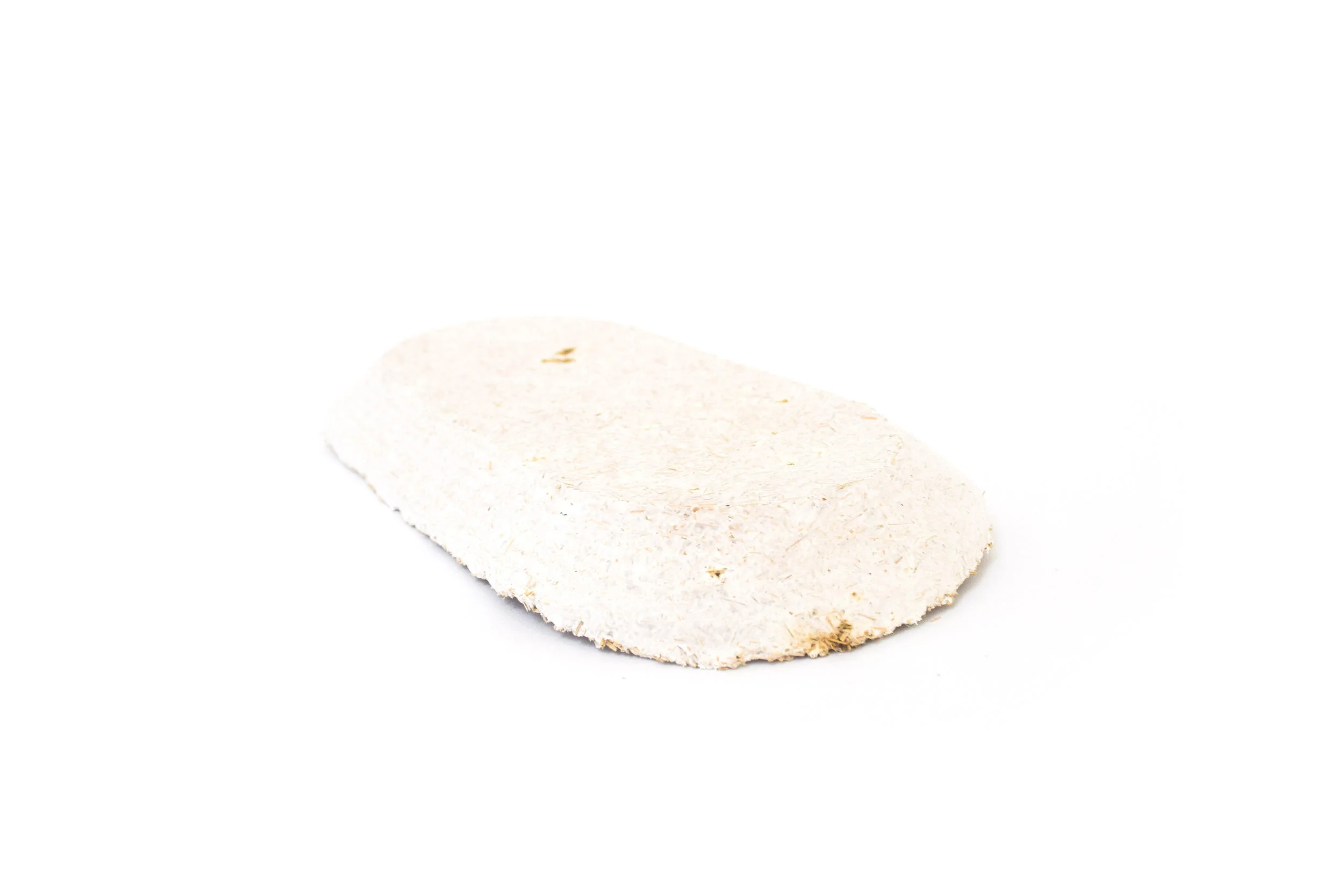 Mycelium 023 - ridged tray