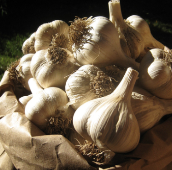 Screen Shot 2020-11-17 at 12.29.38 PM.png