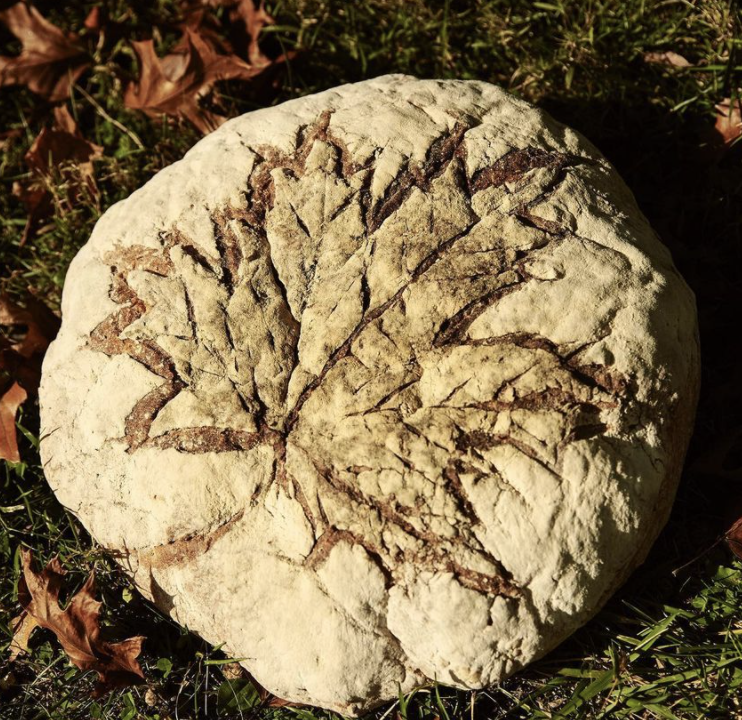 Screen Shot 2020-11-17 at 12.29.06 PM.png