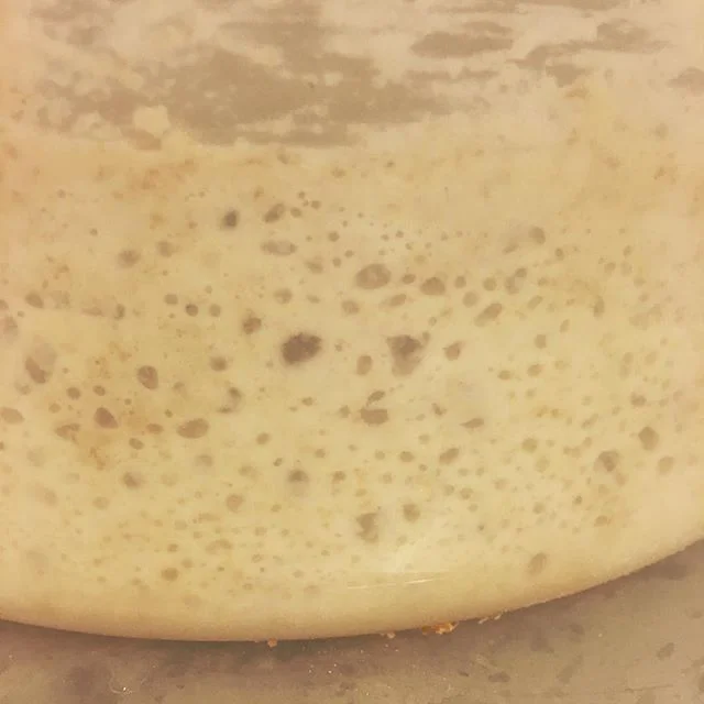 Happy yeast!