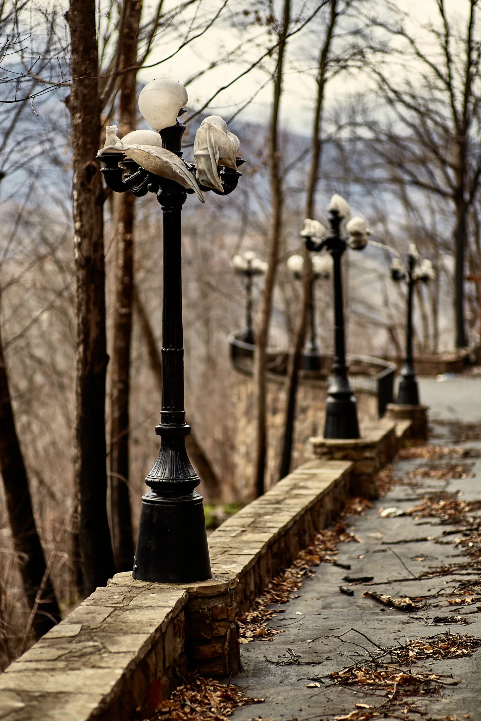 _MG_5476.jpg