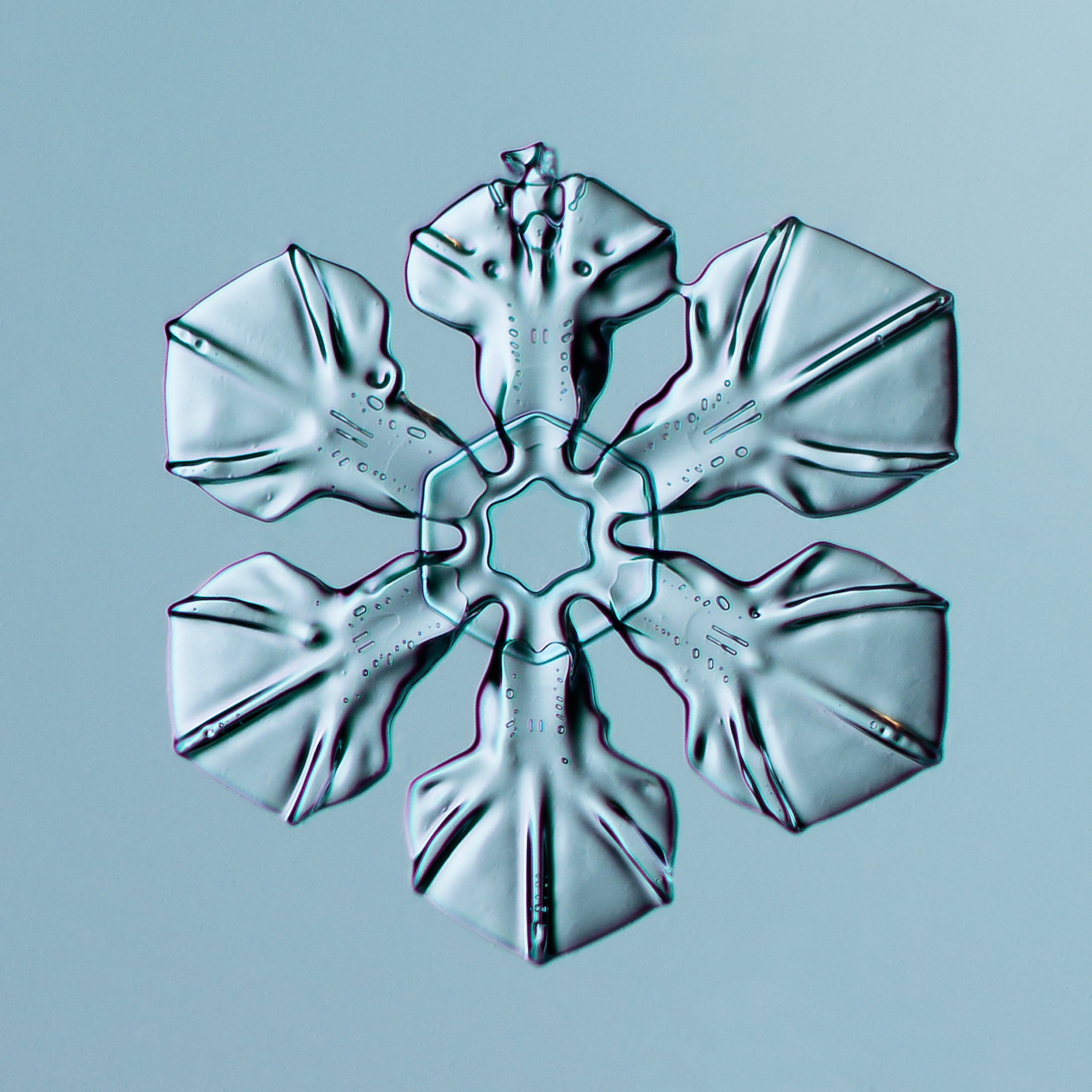 Snowflake 2014.02.16.024.1.JPG