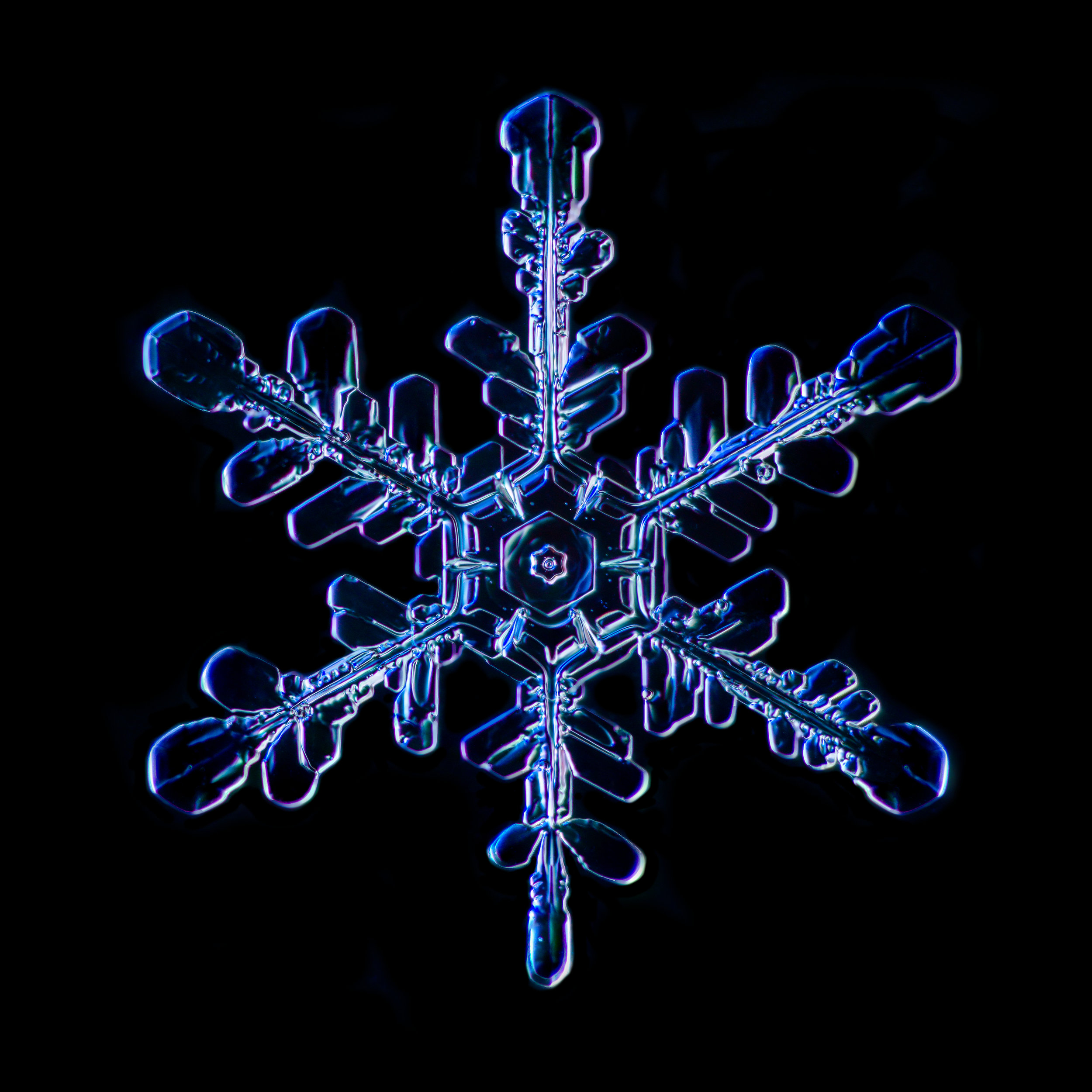 Snowflake 2015.02.02.002.JPG