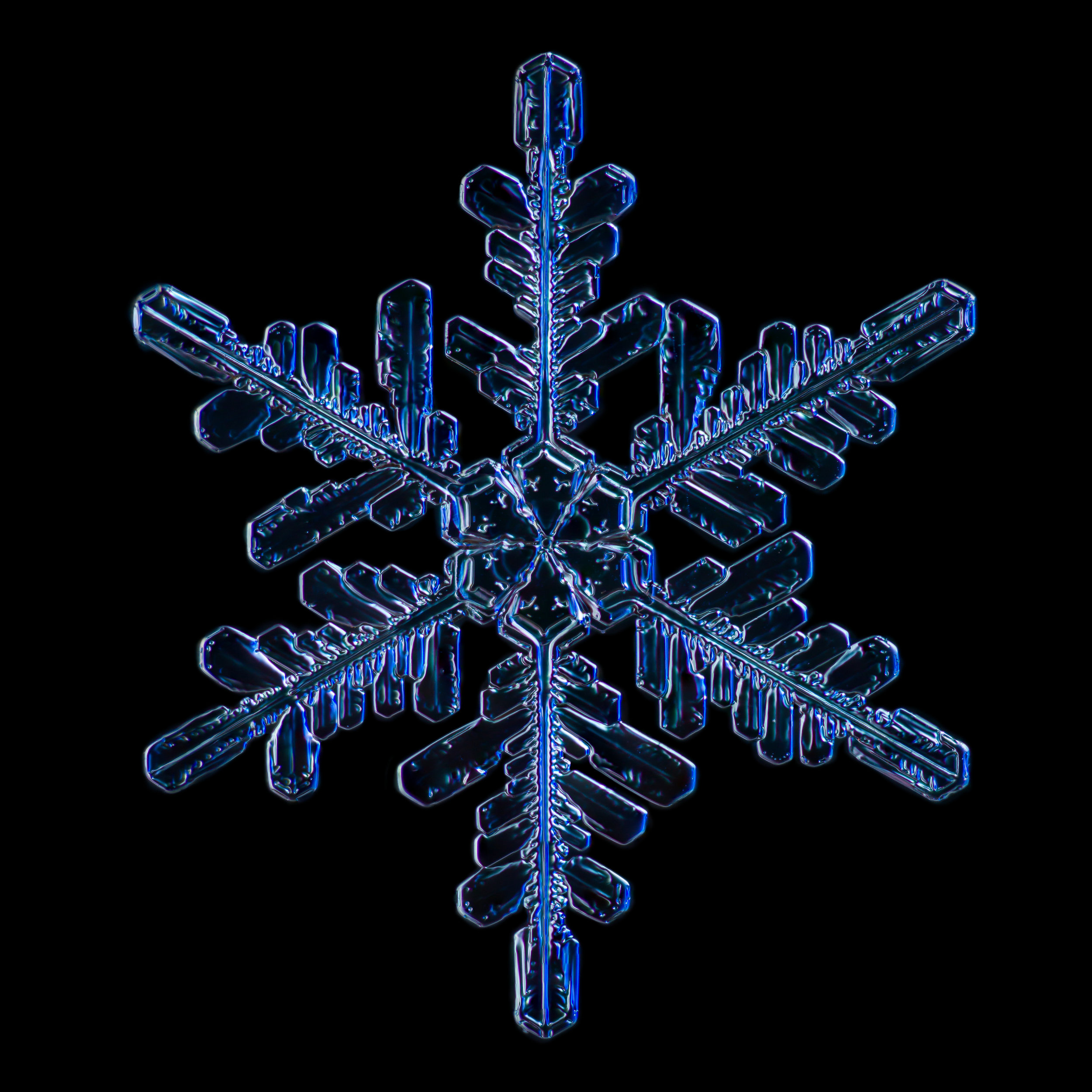 Snowflake 2015.02.02.007.JPG