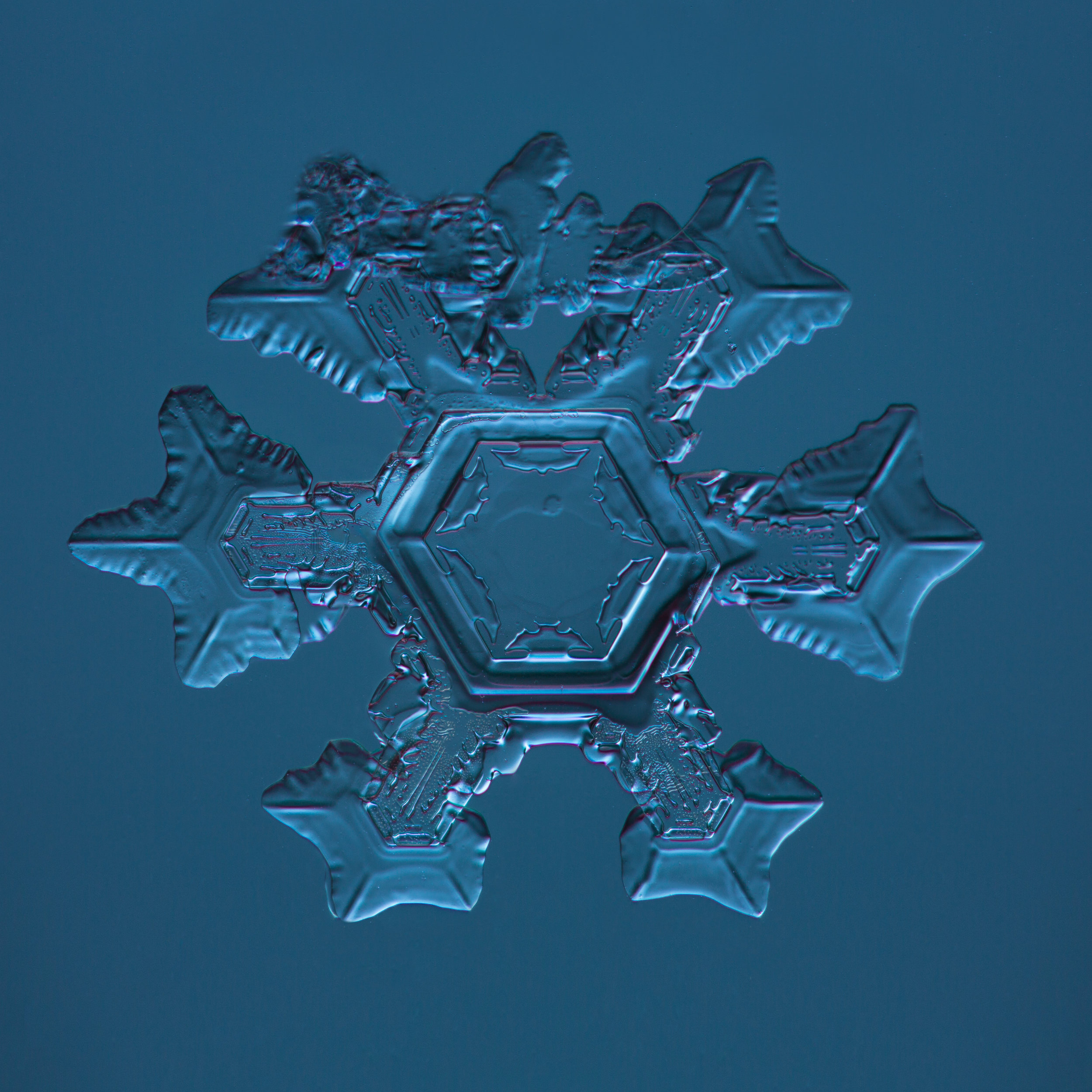 Snowflake 2015.02.04.005.JPG