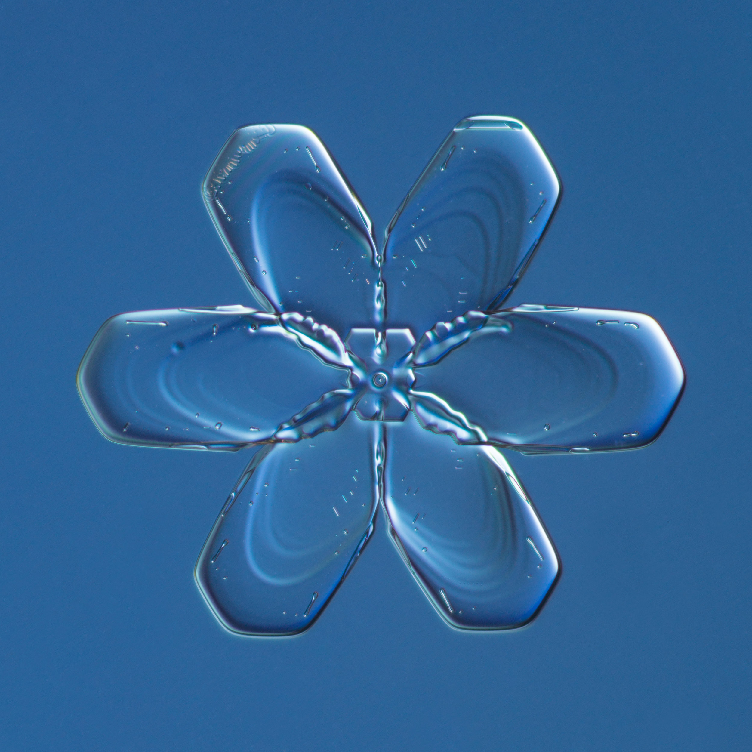 Snowflake 2015.02.21.001.JPG