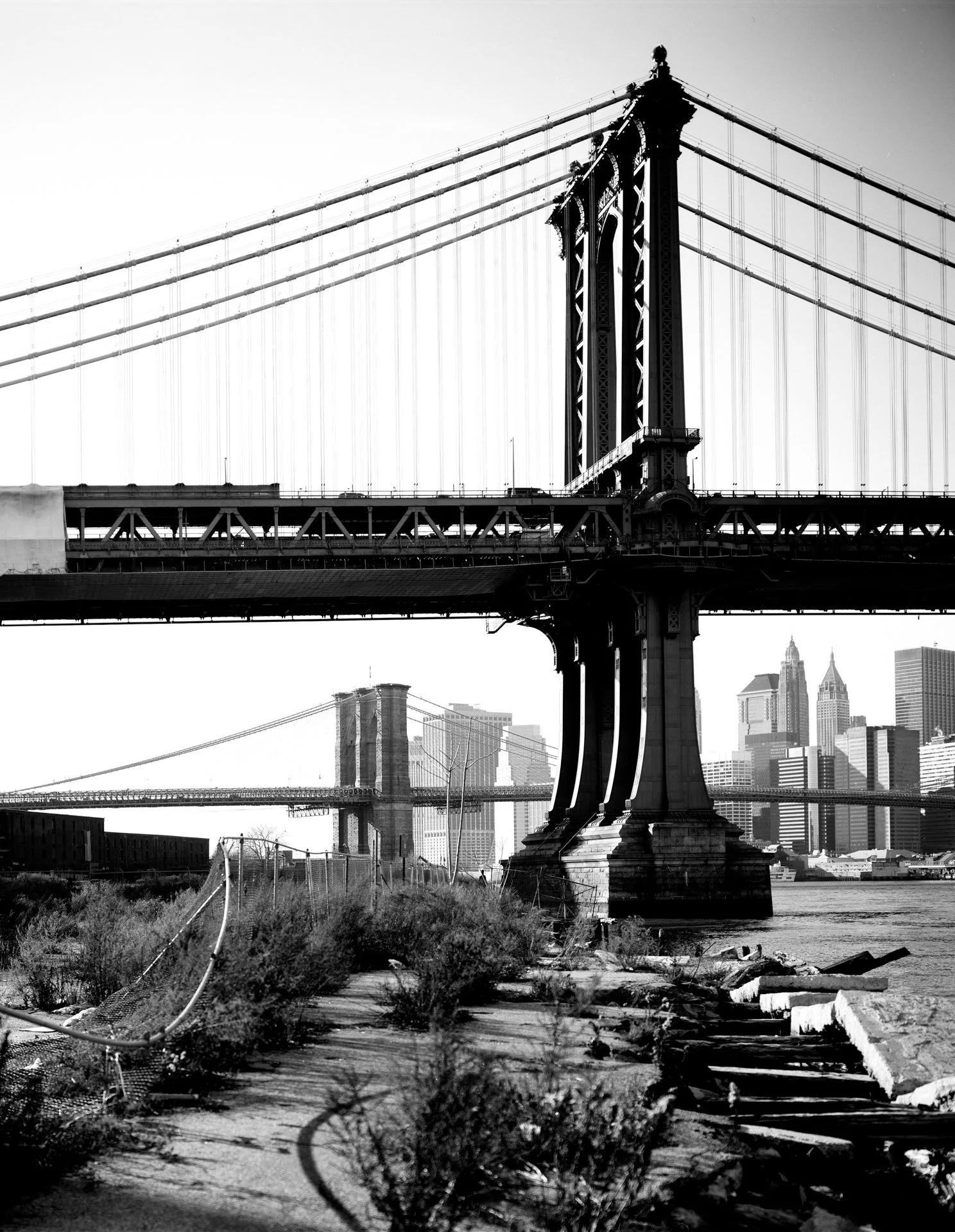 bridges crop.jpg