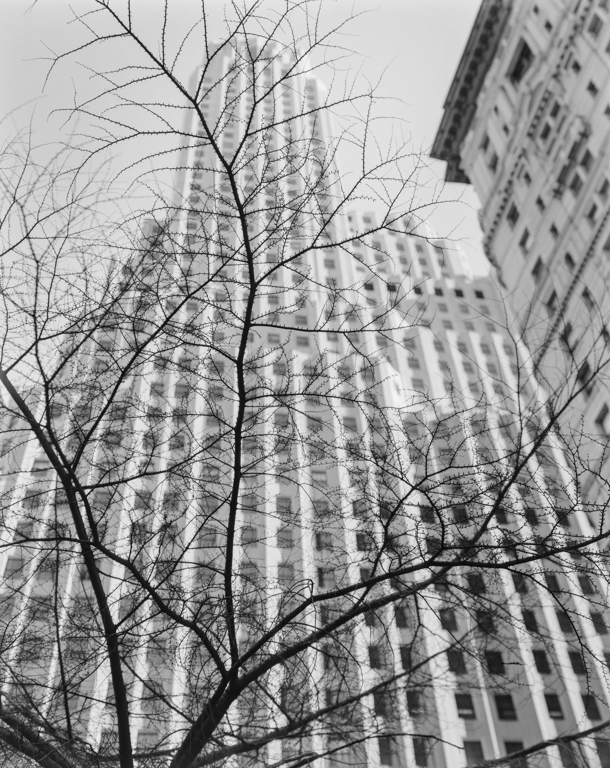 61 One Wall Street from Trinity.3