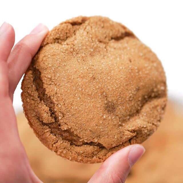 There&rsquo;s still time to make these Soft Ginger Molasses Cookies for your holiday gathering!!! Recipe link in bio 😋