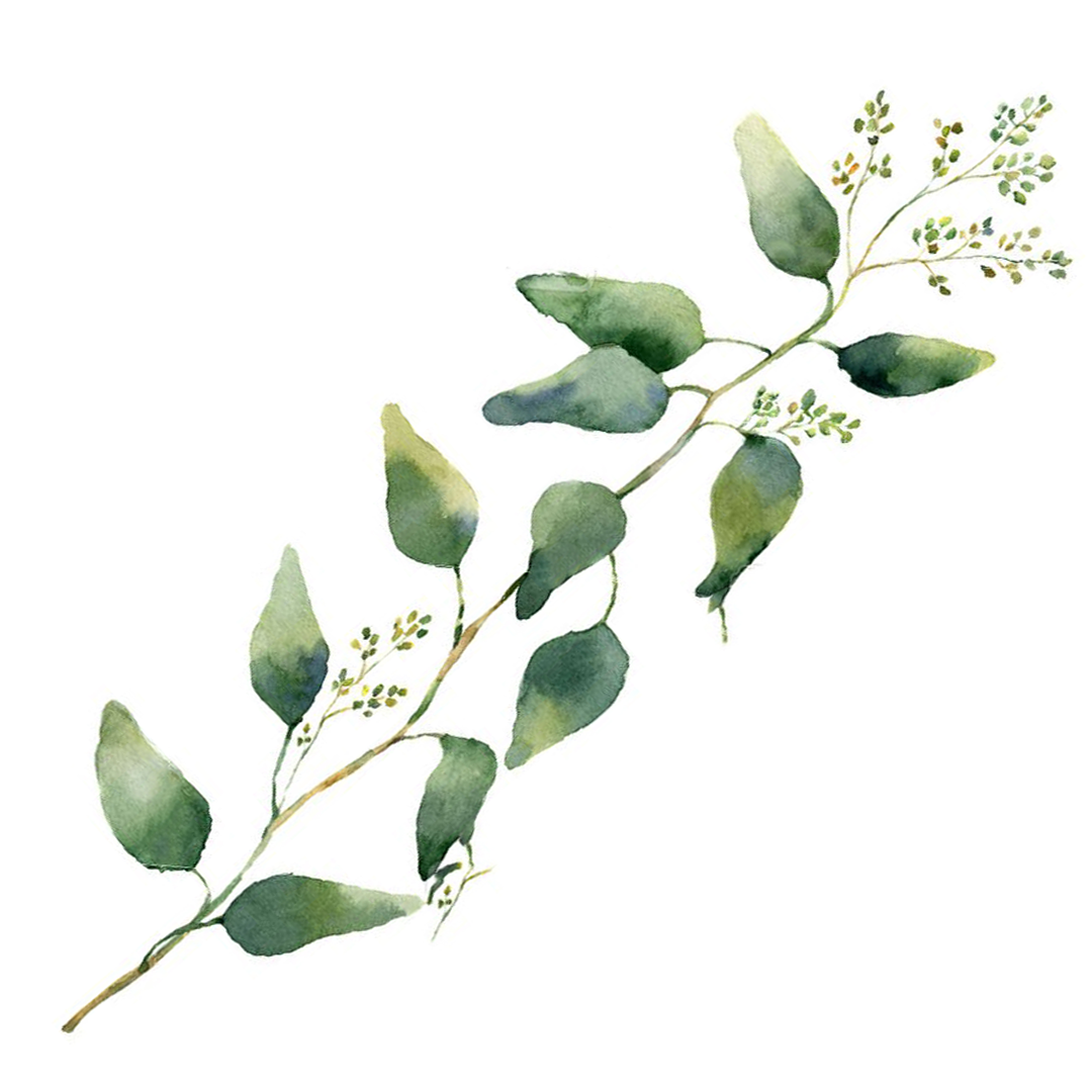 leaves right.png