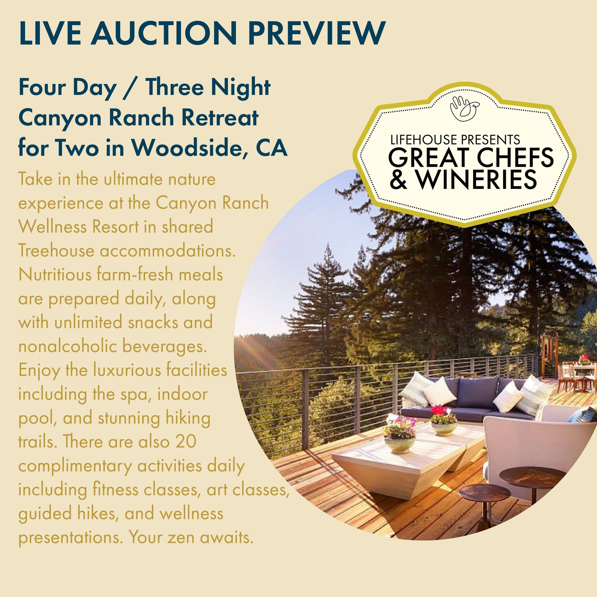 #LIVEAUCTIONPREVIEW :: The vacation of your dreams awaits. Our live auction offers some of the most unique and luxurious experiences you can find. All proceeds will ensure Lifehouse is able to continue providing high-quality support services for over