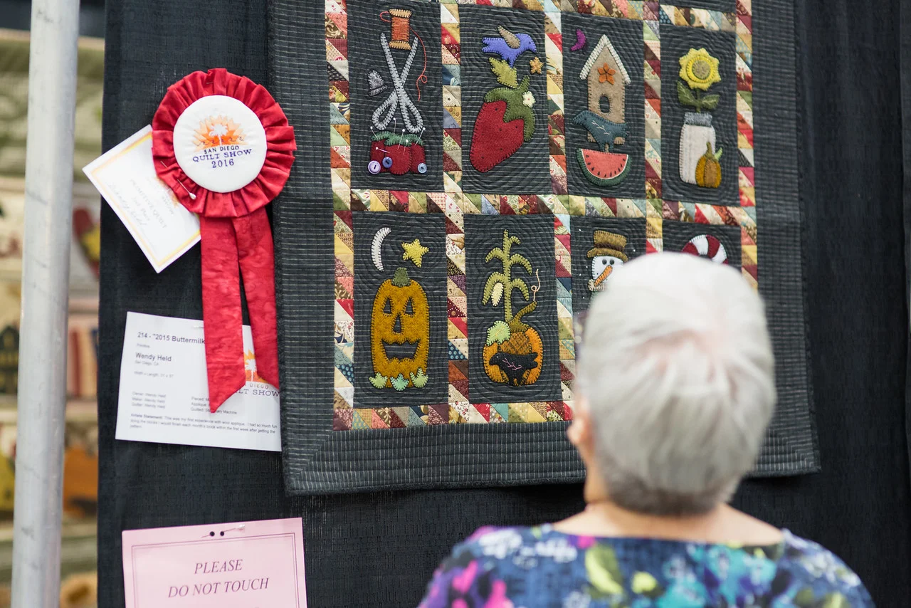 SDQuilt2016-9147-X2.jpg