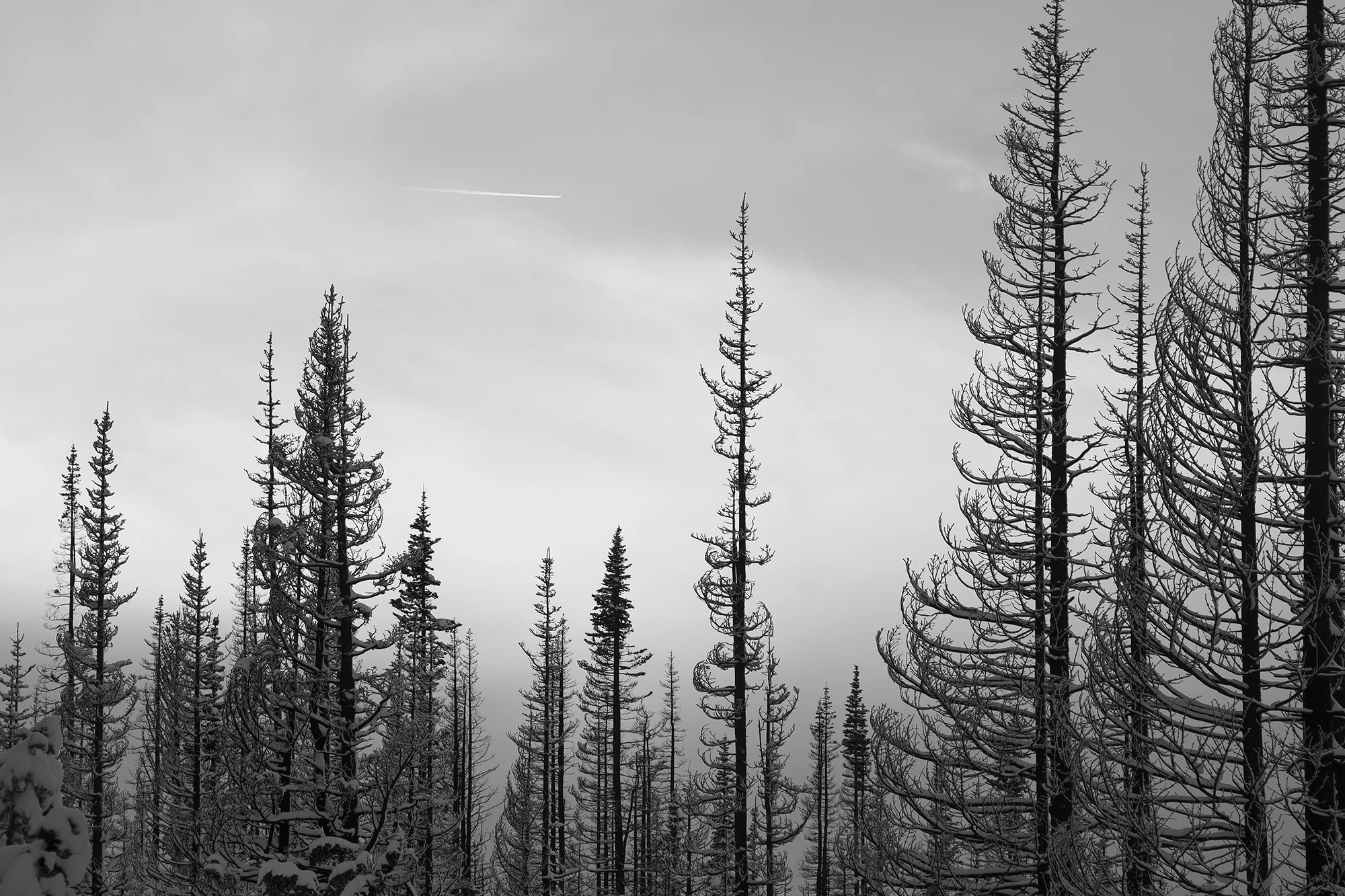 DSC05673 v2sm.jpg