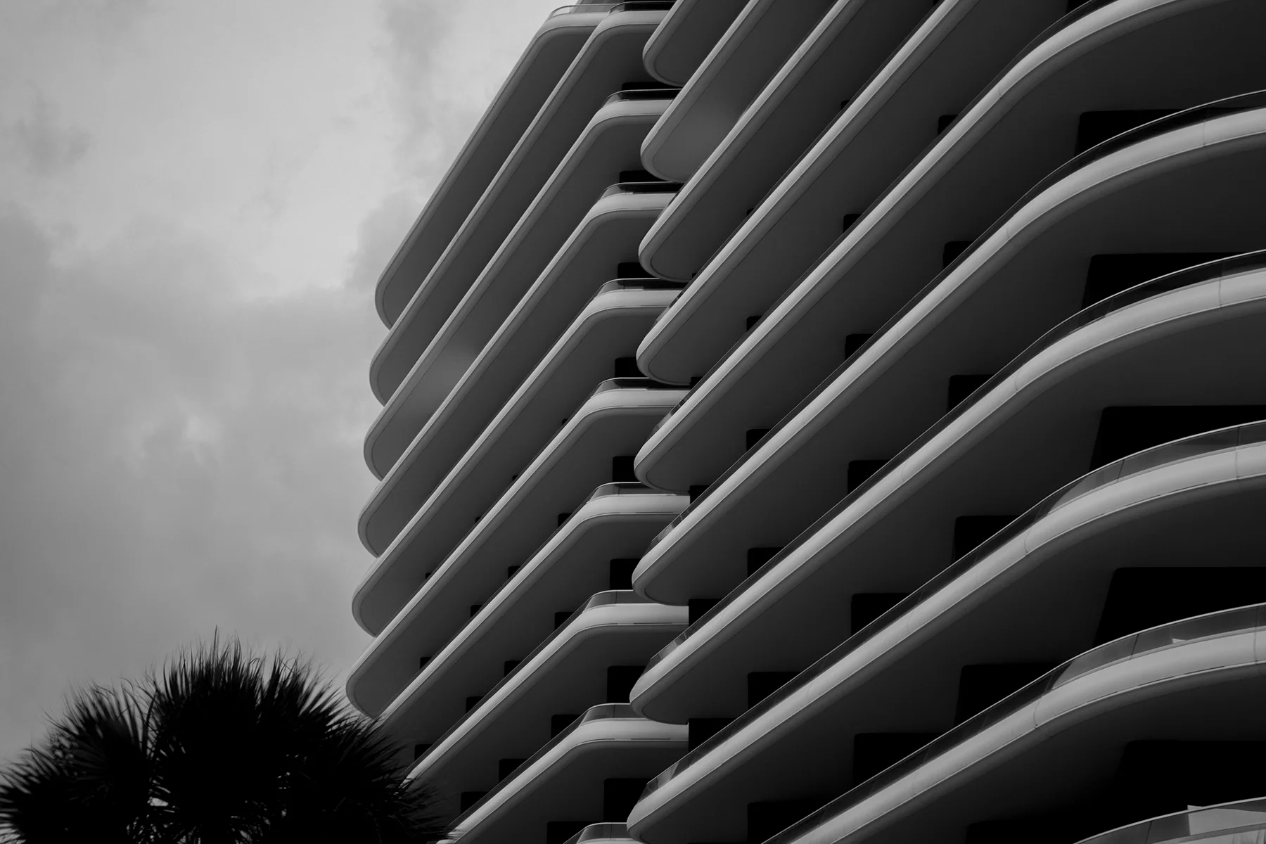 DSC02767 v2sm.jpg