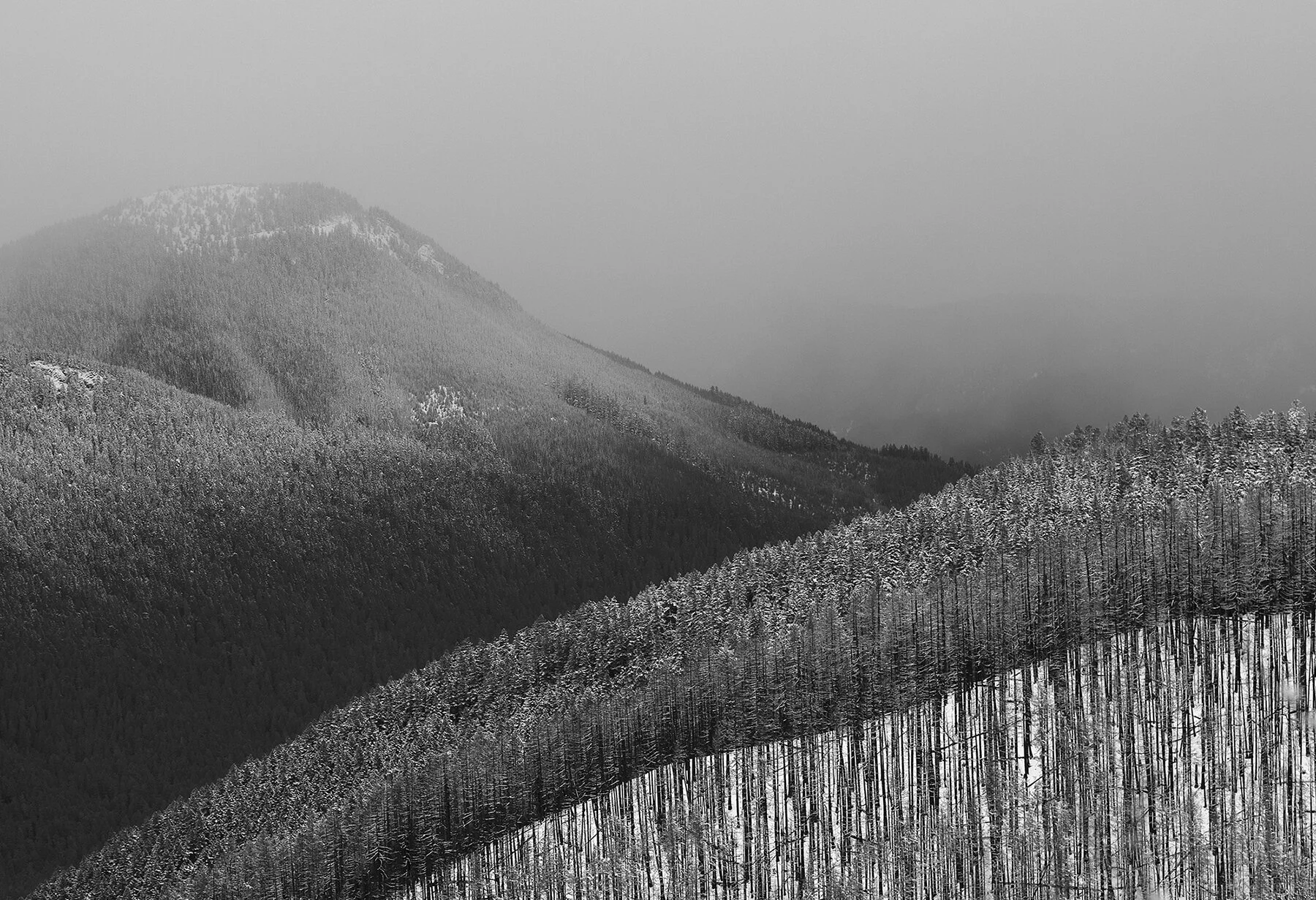 DSC05698 v2sm.jpg