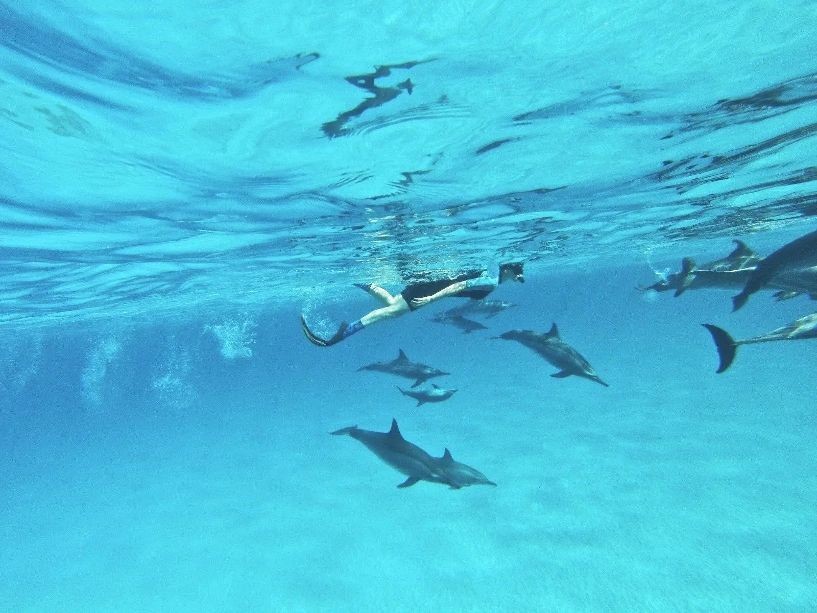 WhatsApp Image 2026-01-26 at 09.49.46.jpg