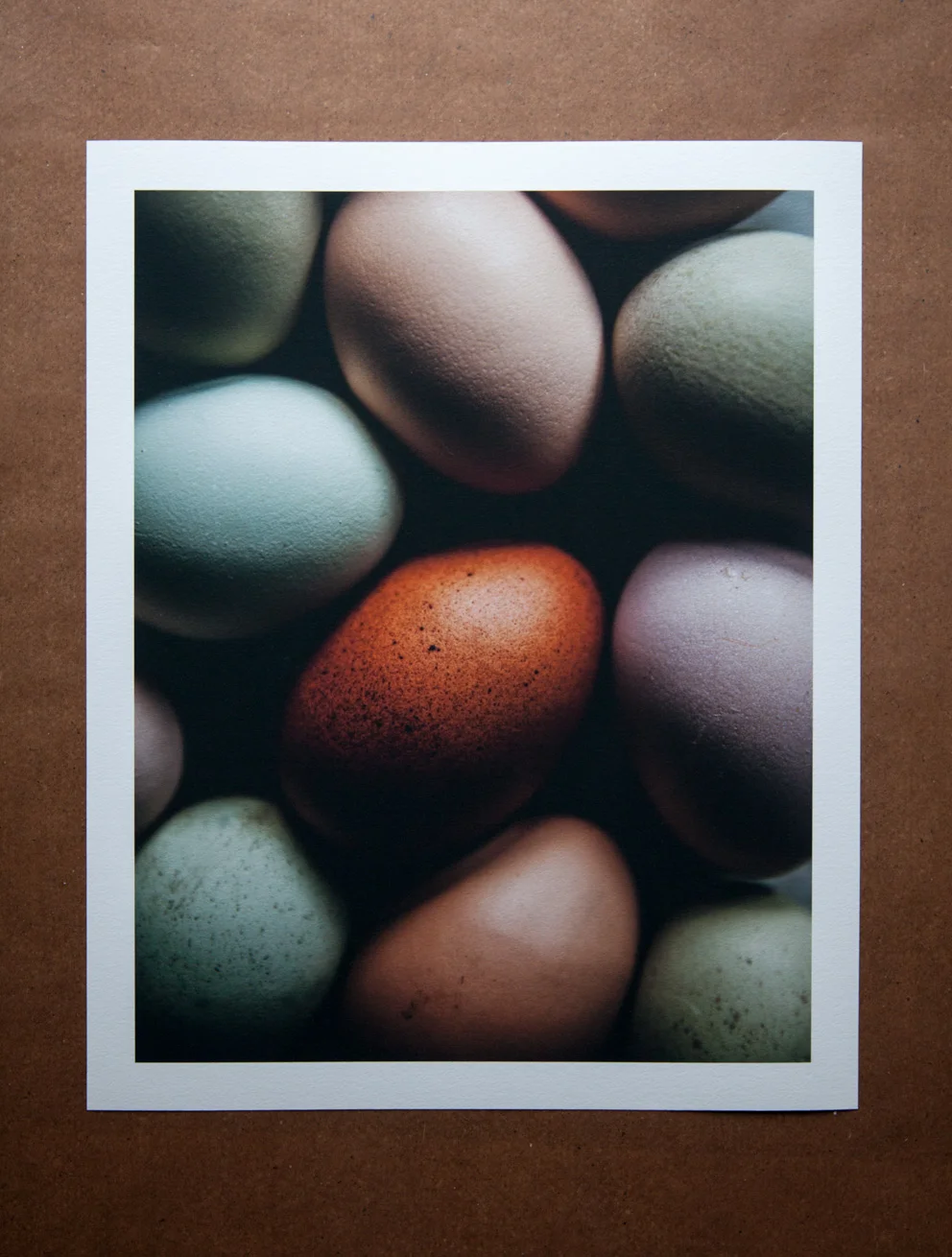 ägg_9736-2.jpg