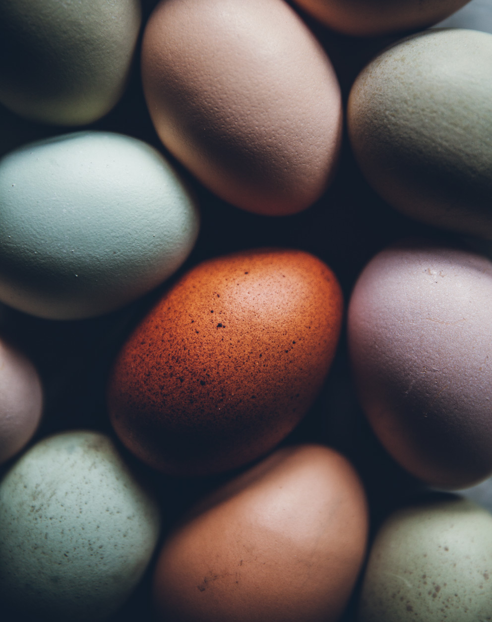 ägg2lo_0434.jpg