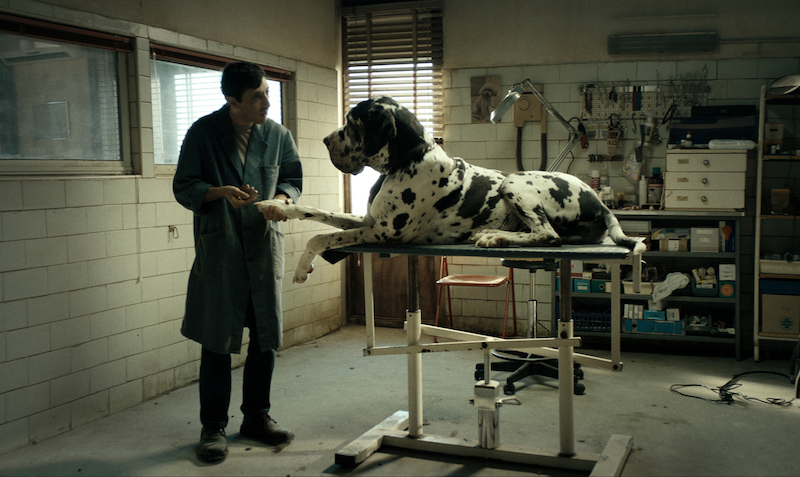 Marcello Fonte in Matteo Garrone’s ‘Dogman’, photo by Greta De Lazzaris