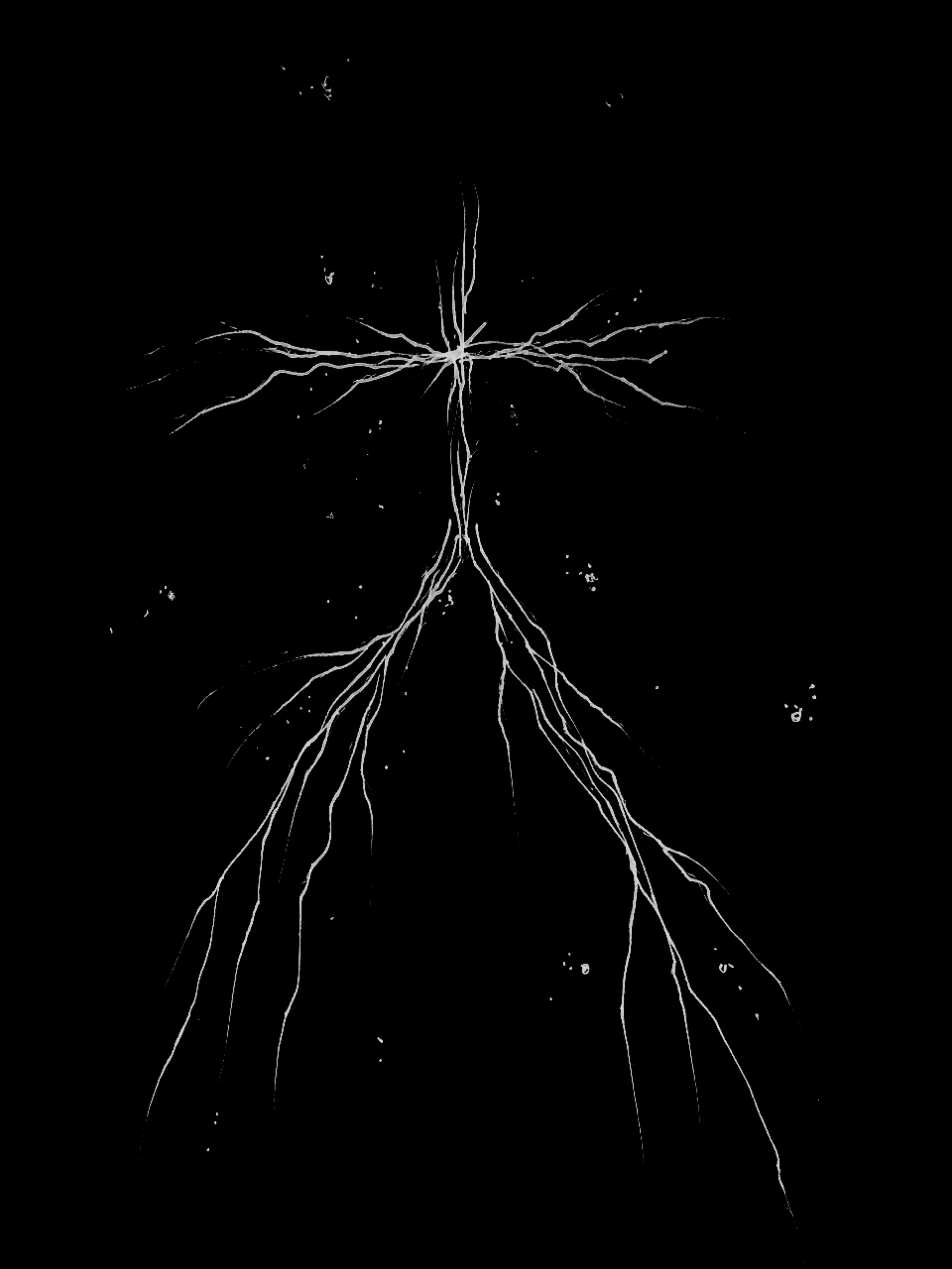 chrisotpher jade_logo.JPG