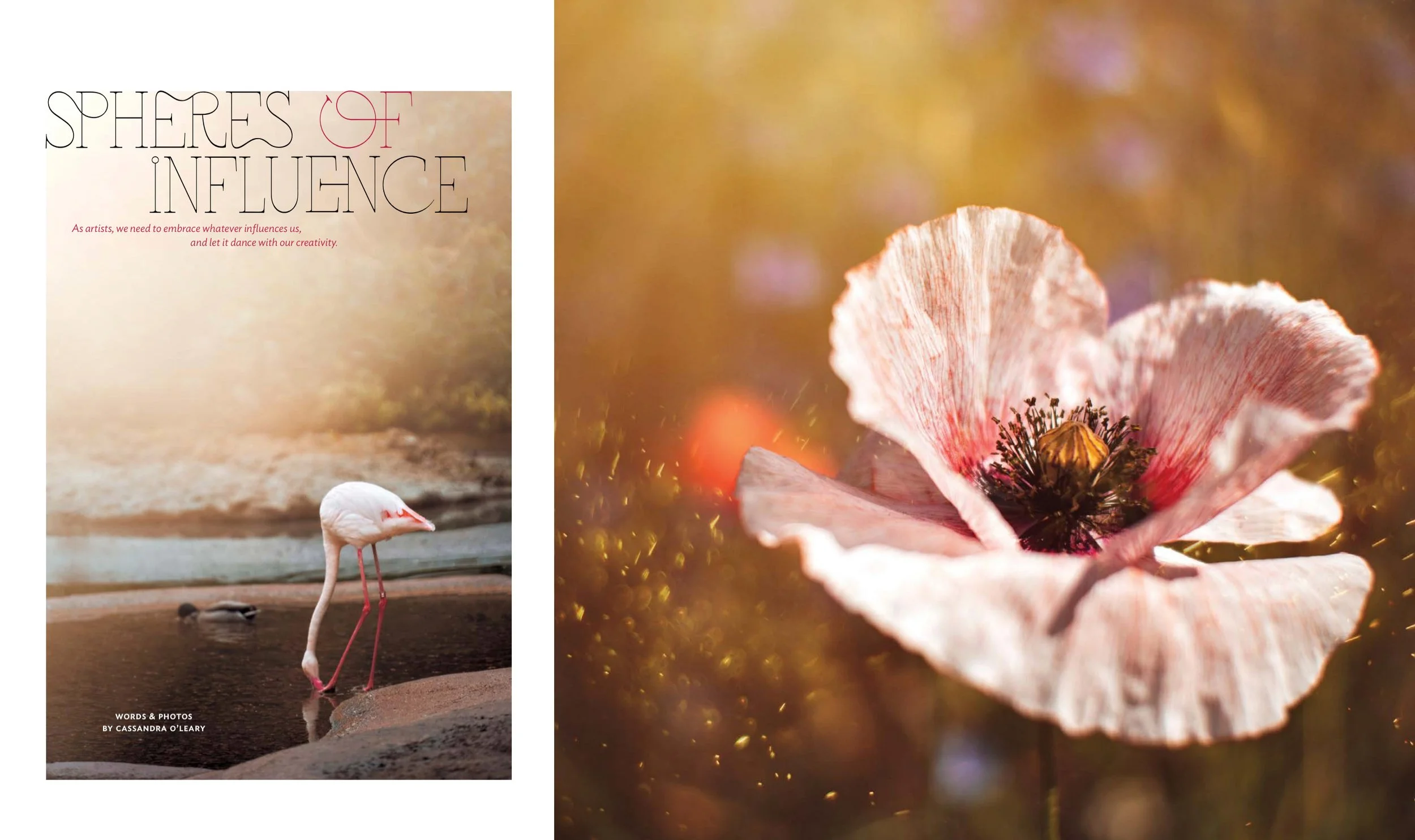 Spheres of Influence - Click Magazine