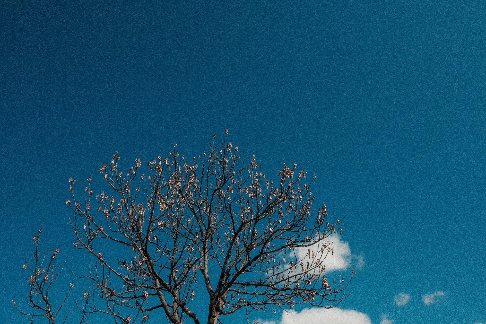 the only way is to continue... 