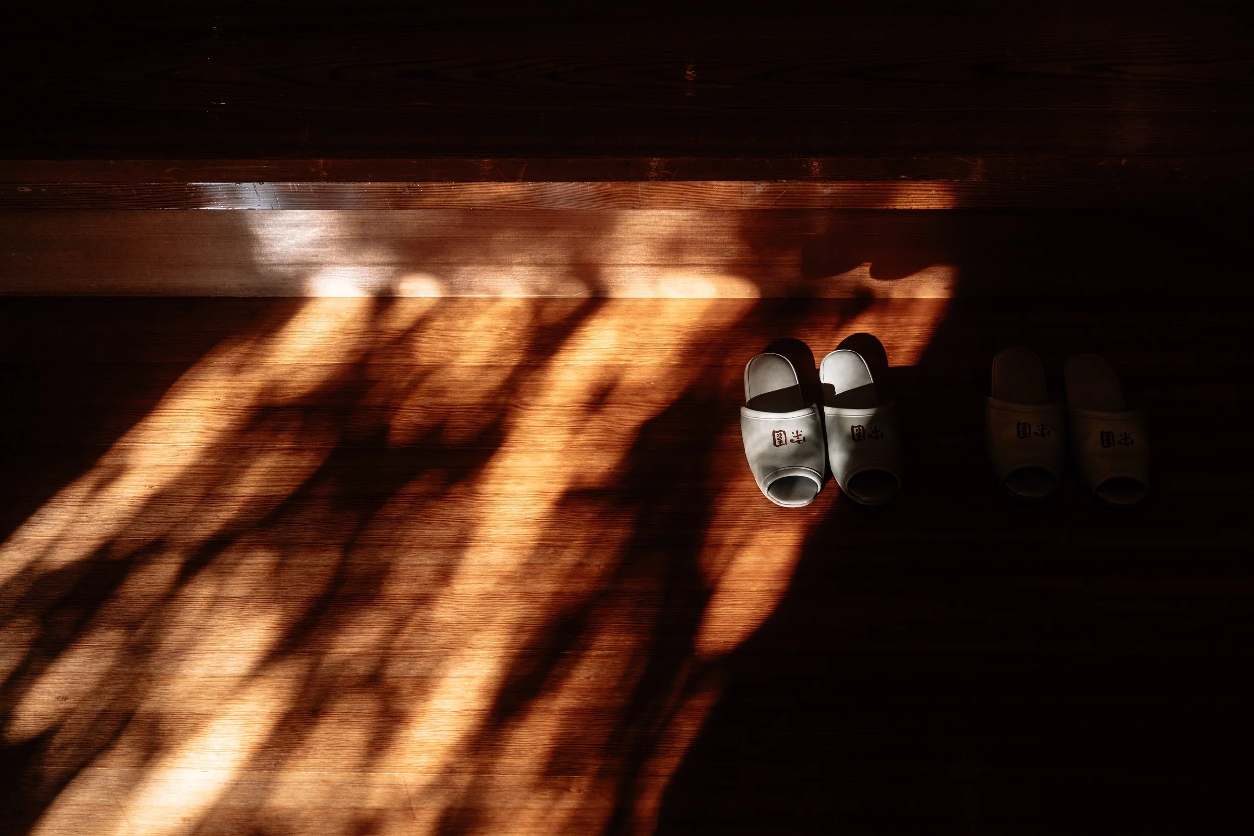 The Light Finds It