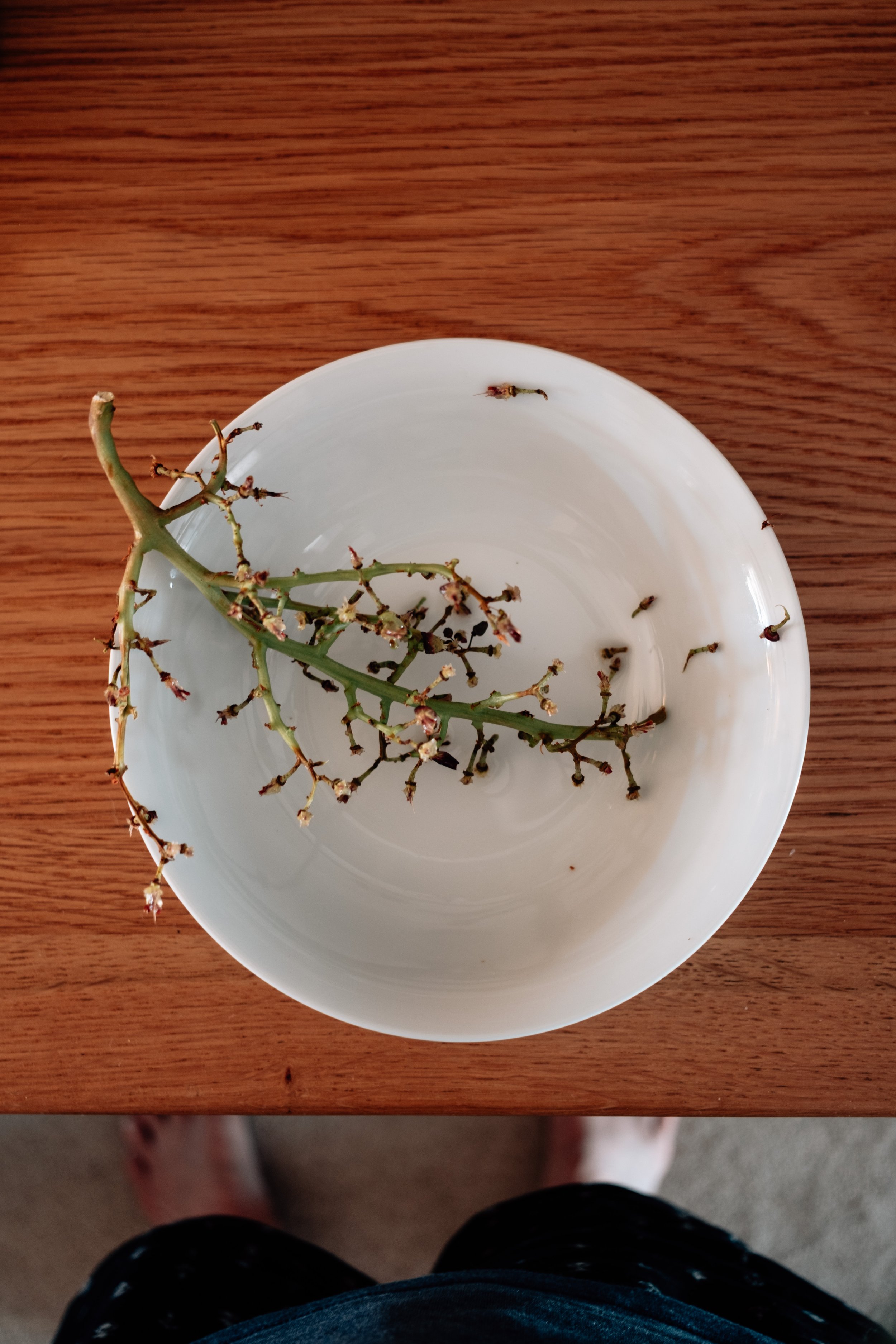the missing grapes...