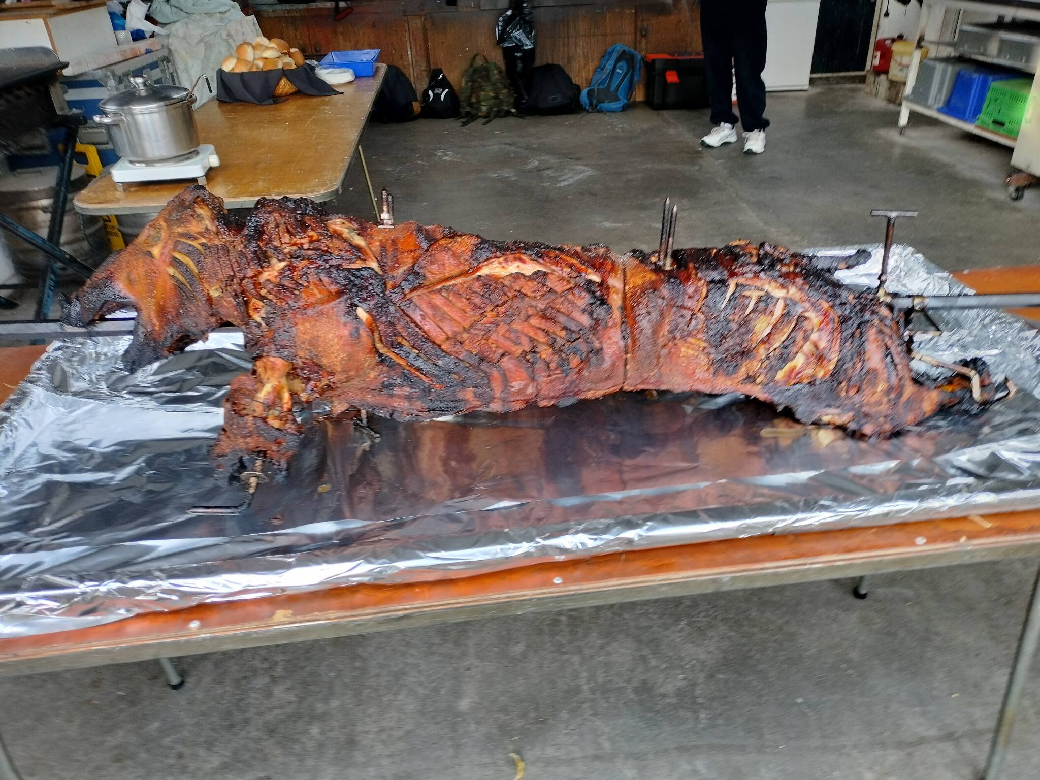 WH3 Xmas 2025 - Pig1.jpg