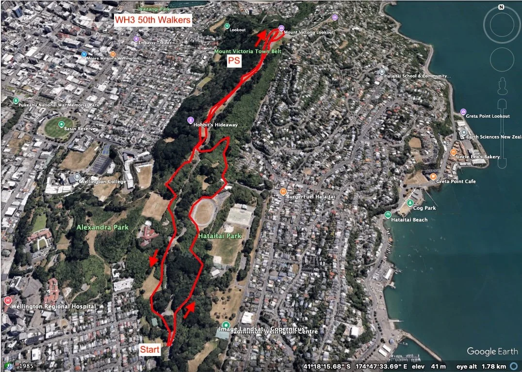 WH3 50th Walkers.jpg