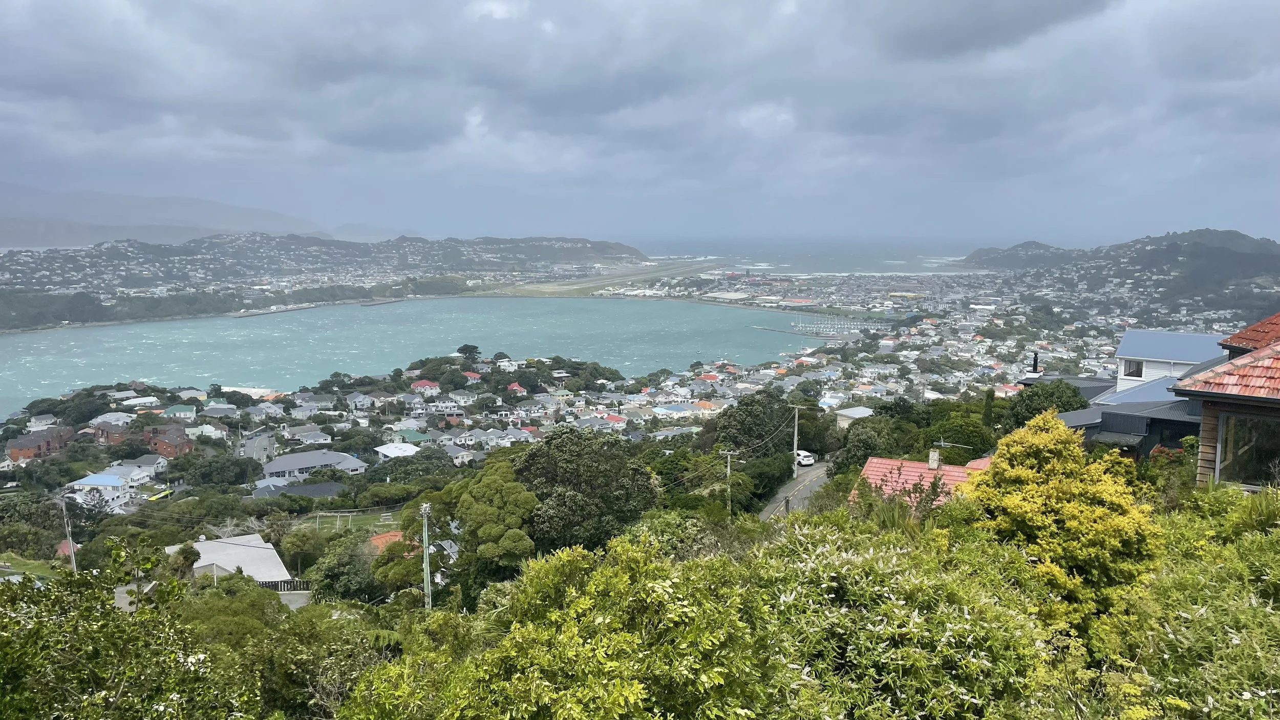 WHHH 50years Evans Bay.jpeg