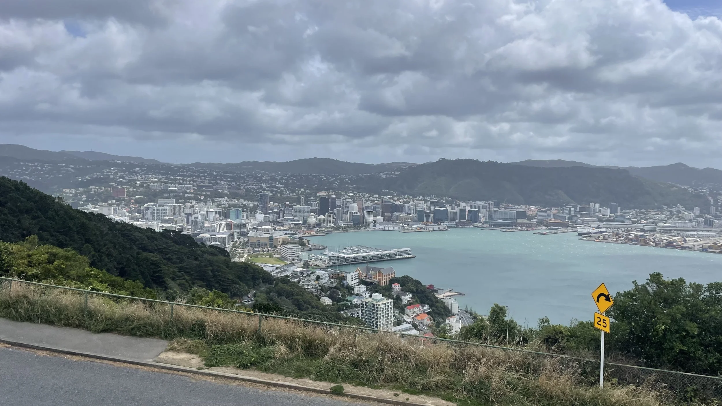 WHHH 50years Central.jpeg