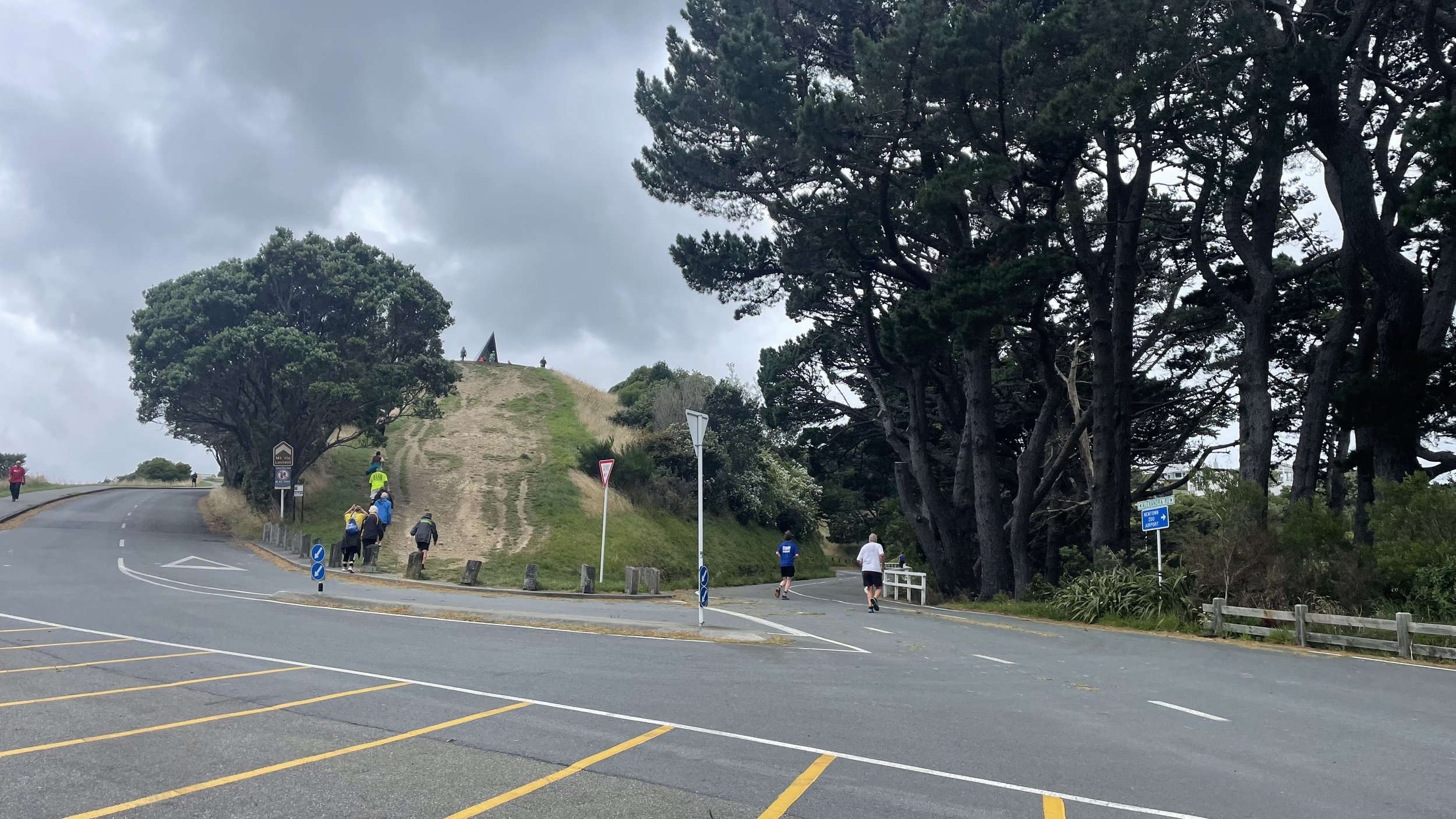 WHHH 50years split 1.jpeg