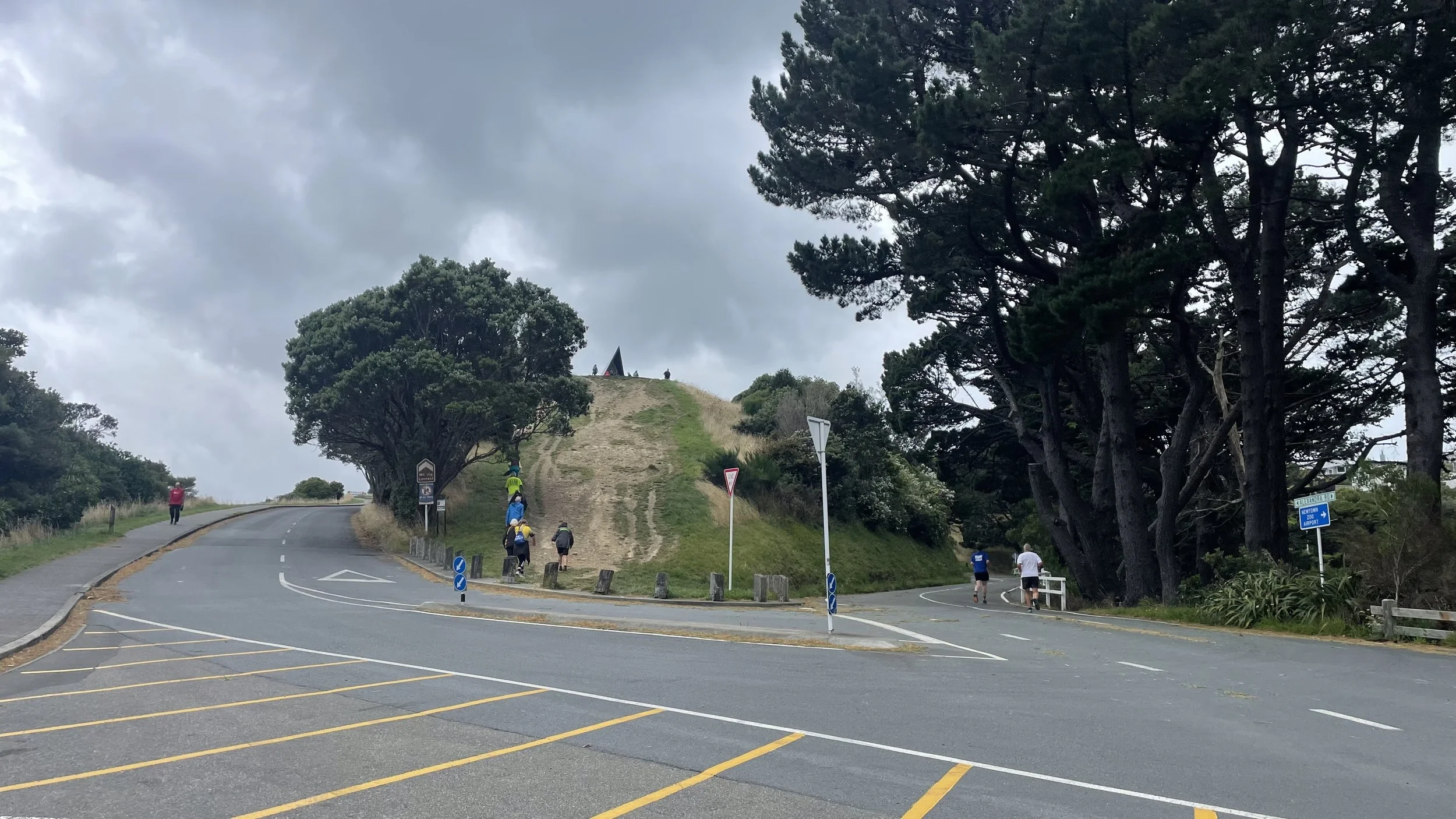 WHHH 50years split 2.jpeg