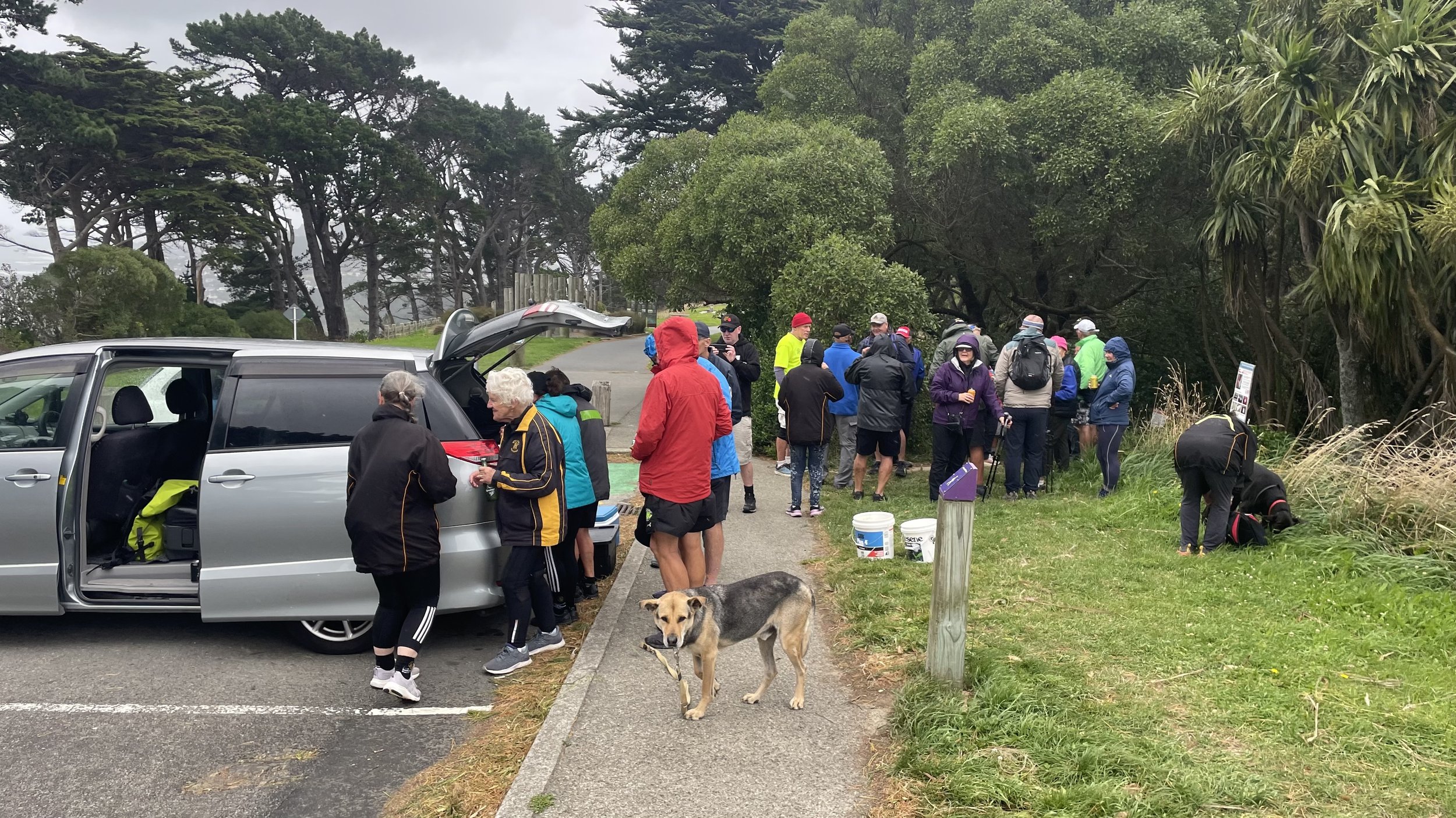 WHHH 50years PS.jpeg