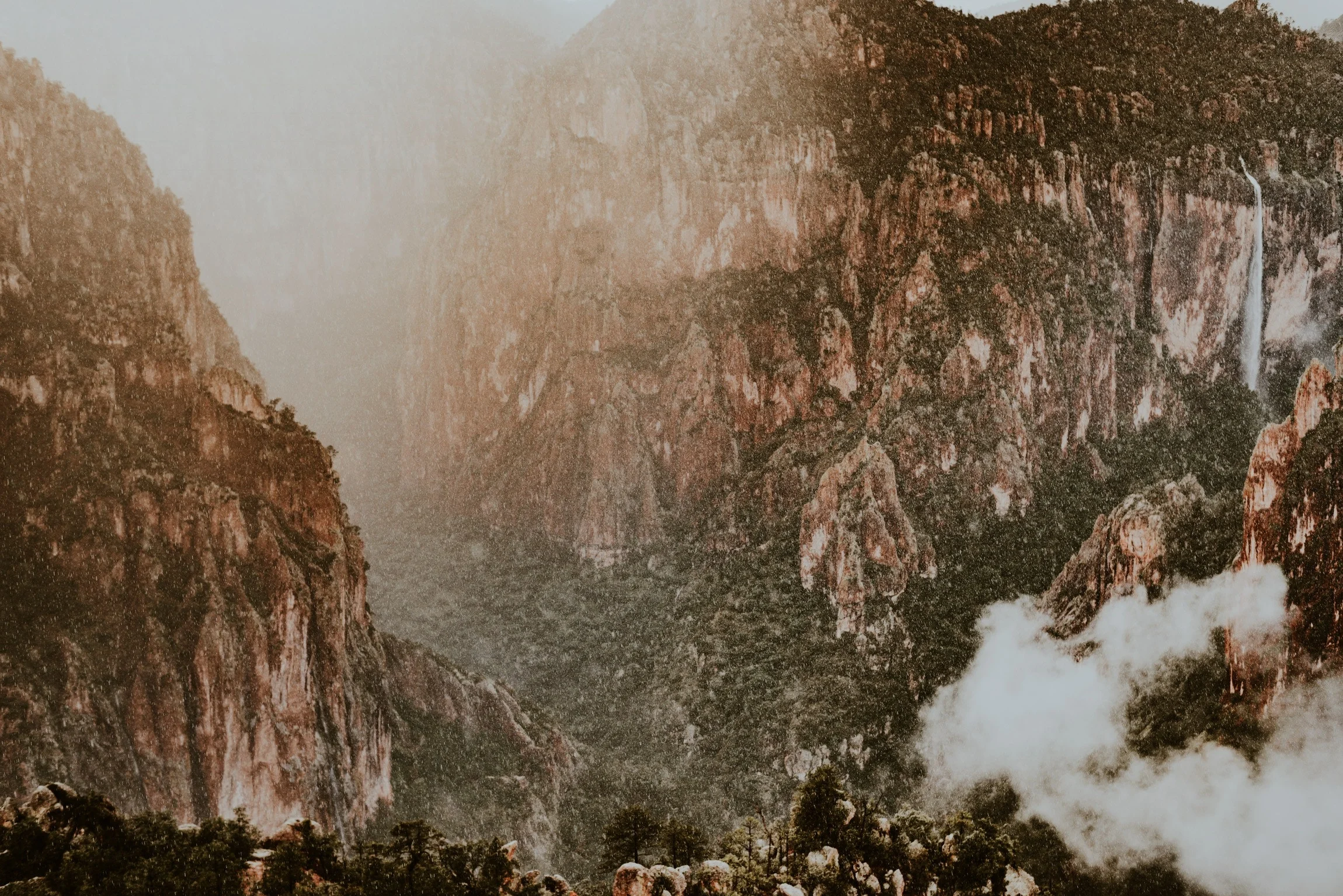 Photo by Diego Salinas on Unsplash