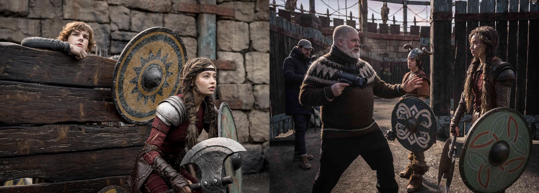 HTTYD Shield Set Photos.jpg