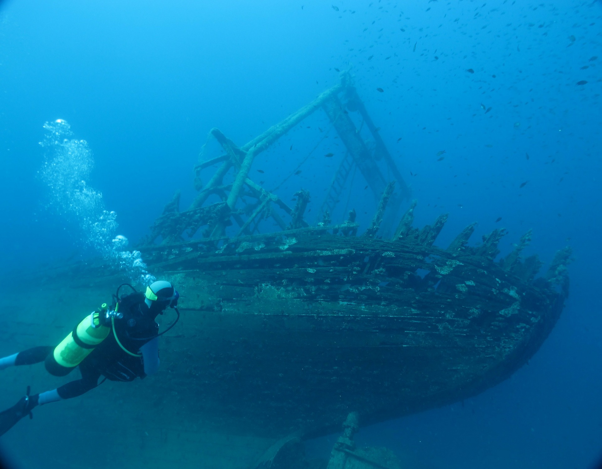 diving-225580_1920.jpg