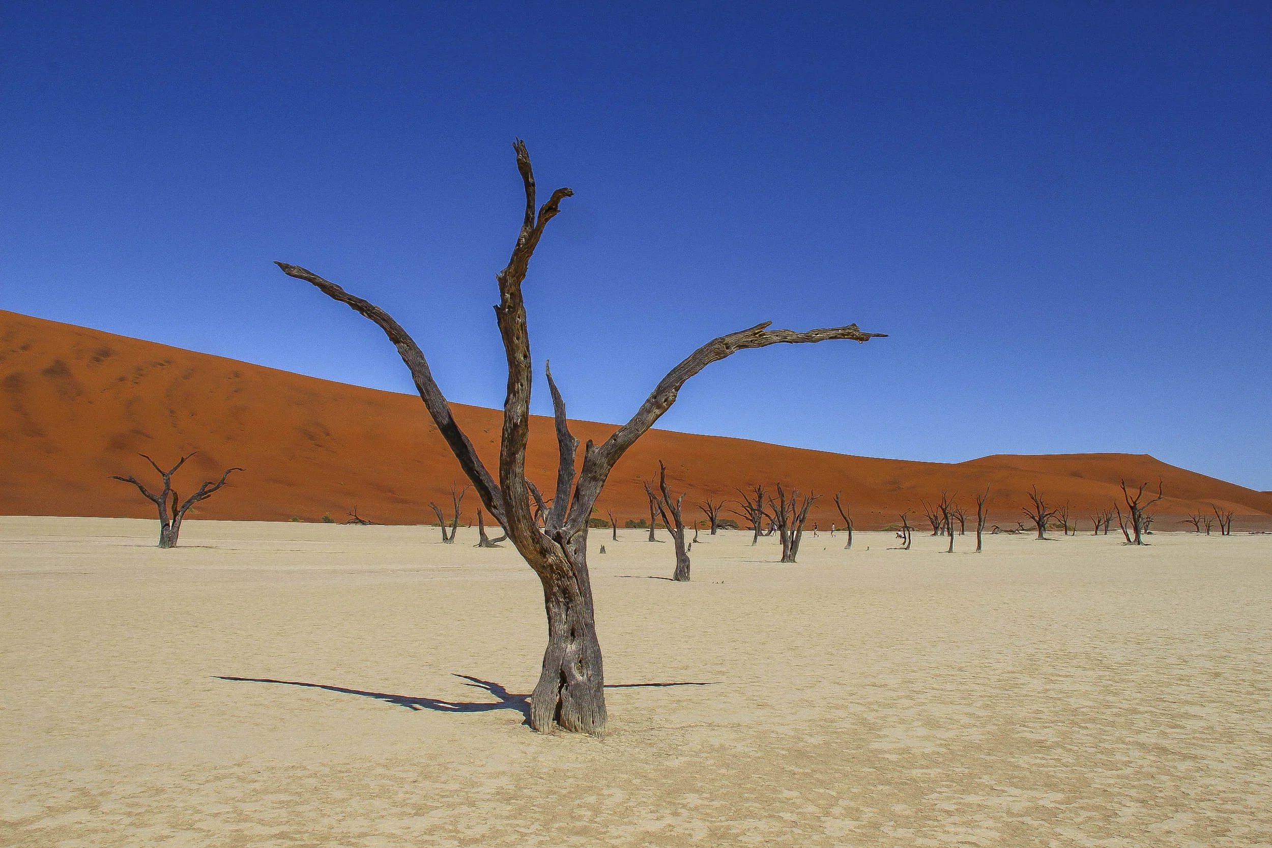 Sossusvlei