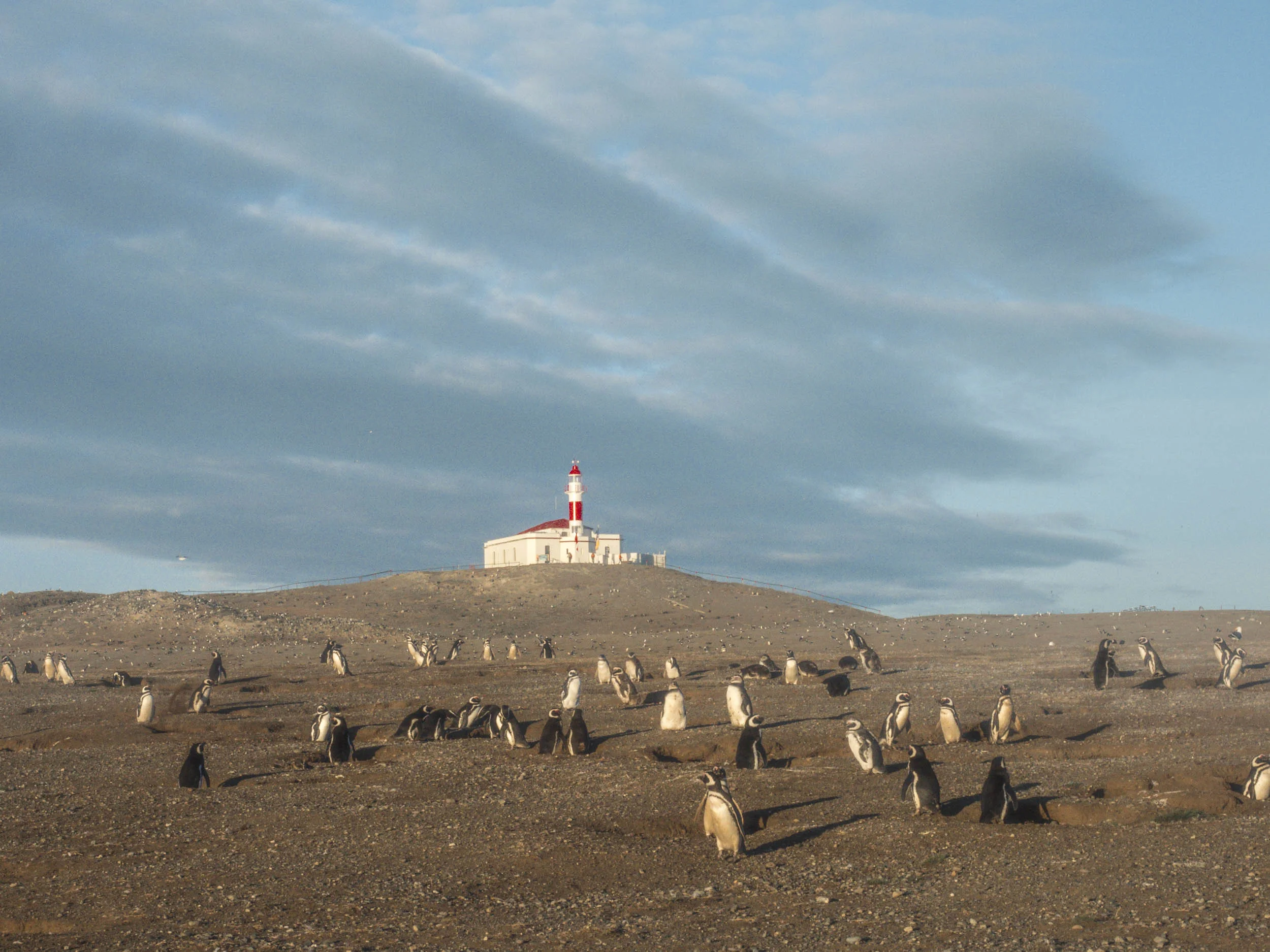 Magdalena Island