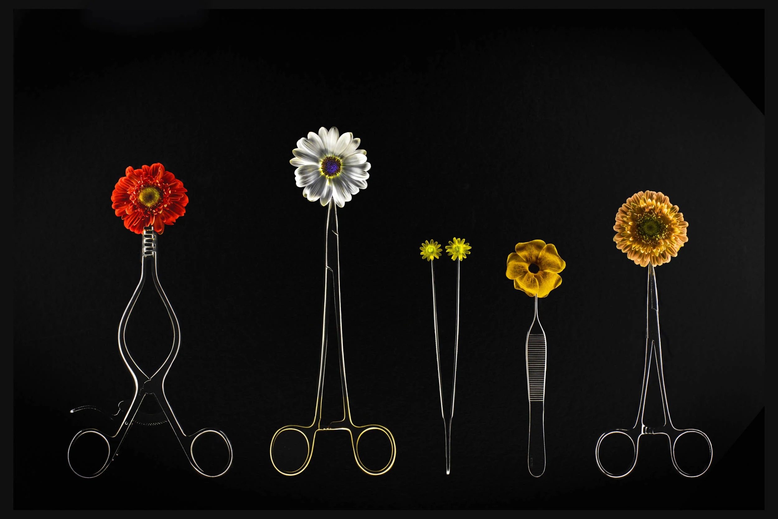 Ops-Blumen_BEST.jpg