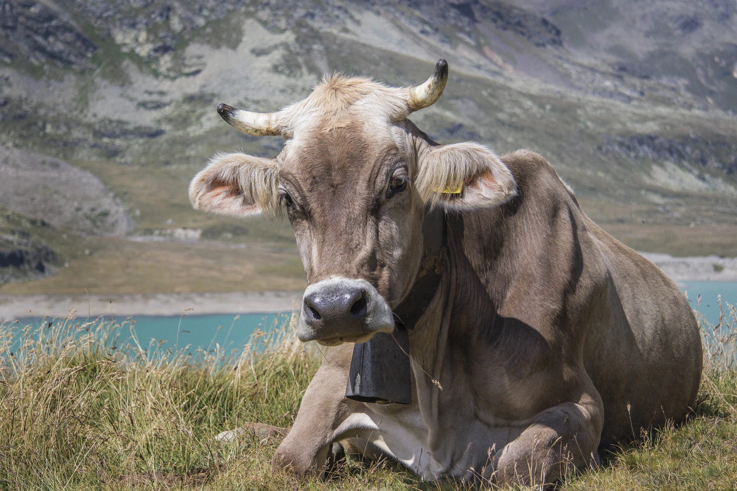 Engadin
