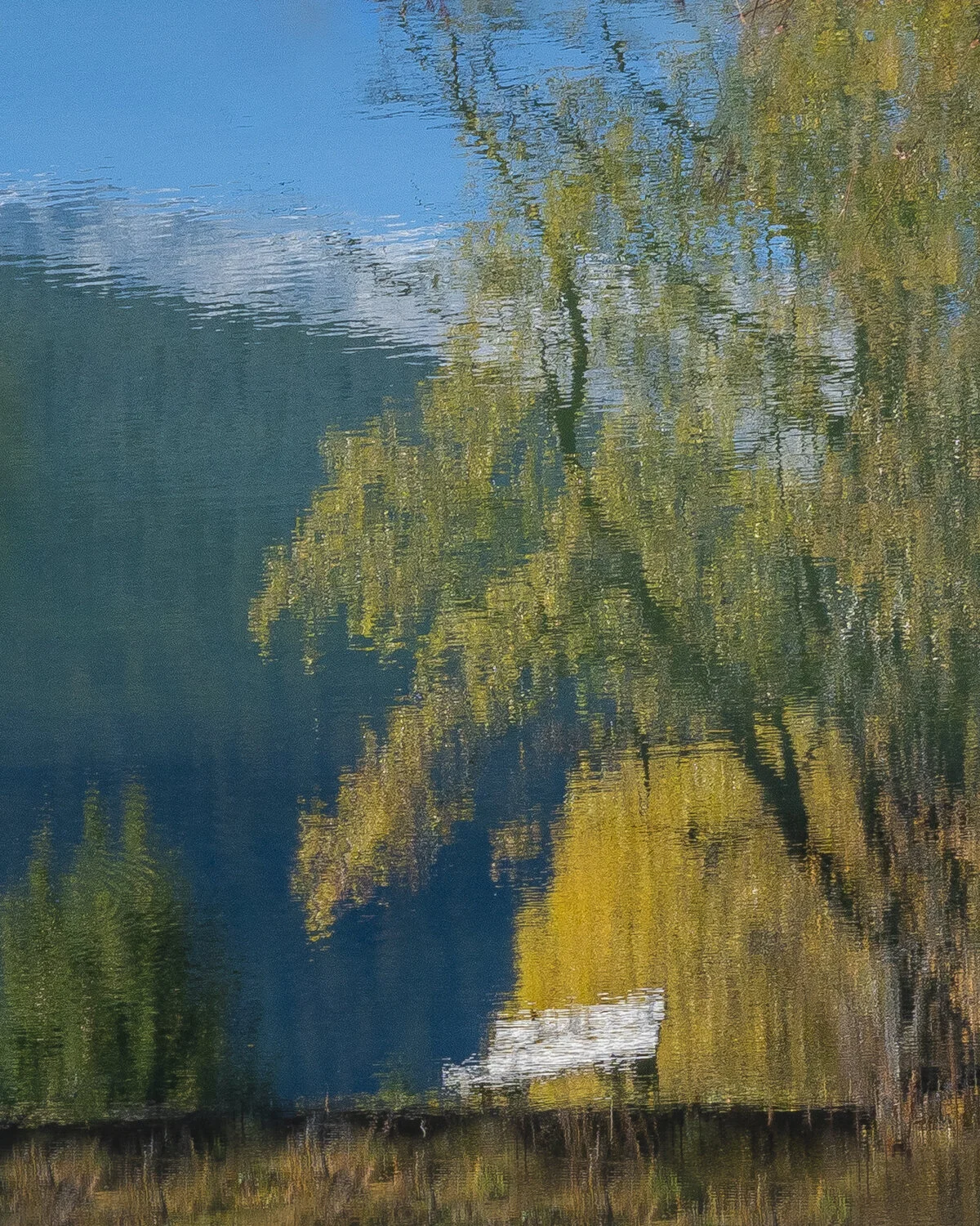 2__1010059.jpg