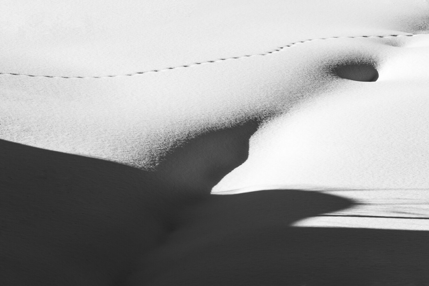 4_FootPrints-Edit.jpg